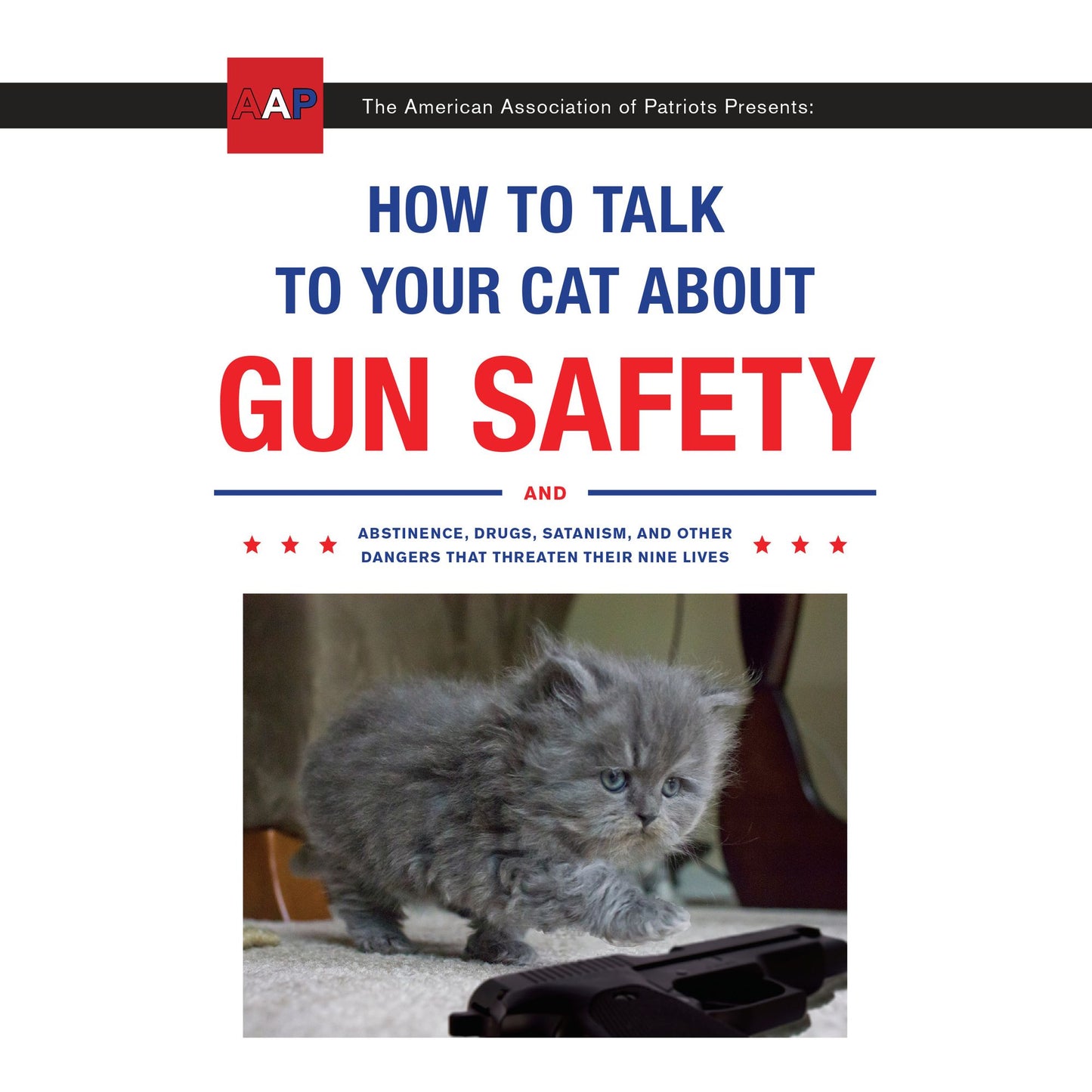 How to Talk to Your Cat About Gun Safety: And Abstinence, Drugs, Satanism, and Other Dangers That Threaten Their Nine Lives