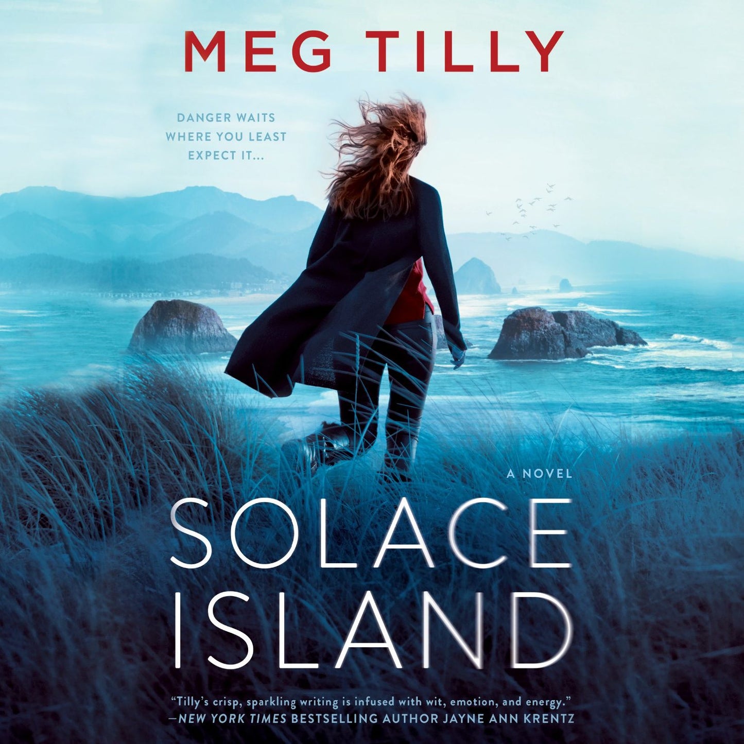Solace Island: A Novel