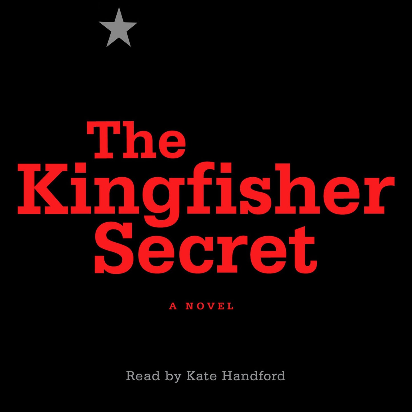 The Kingfisher Secret: A Novel