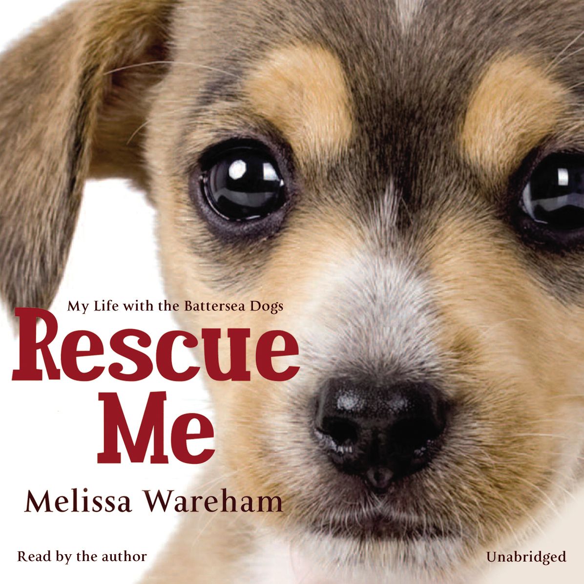 Rescue Me: My Life with the Battersea Dogs