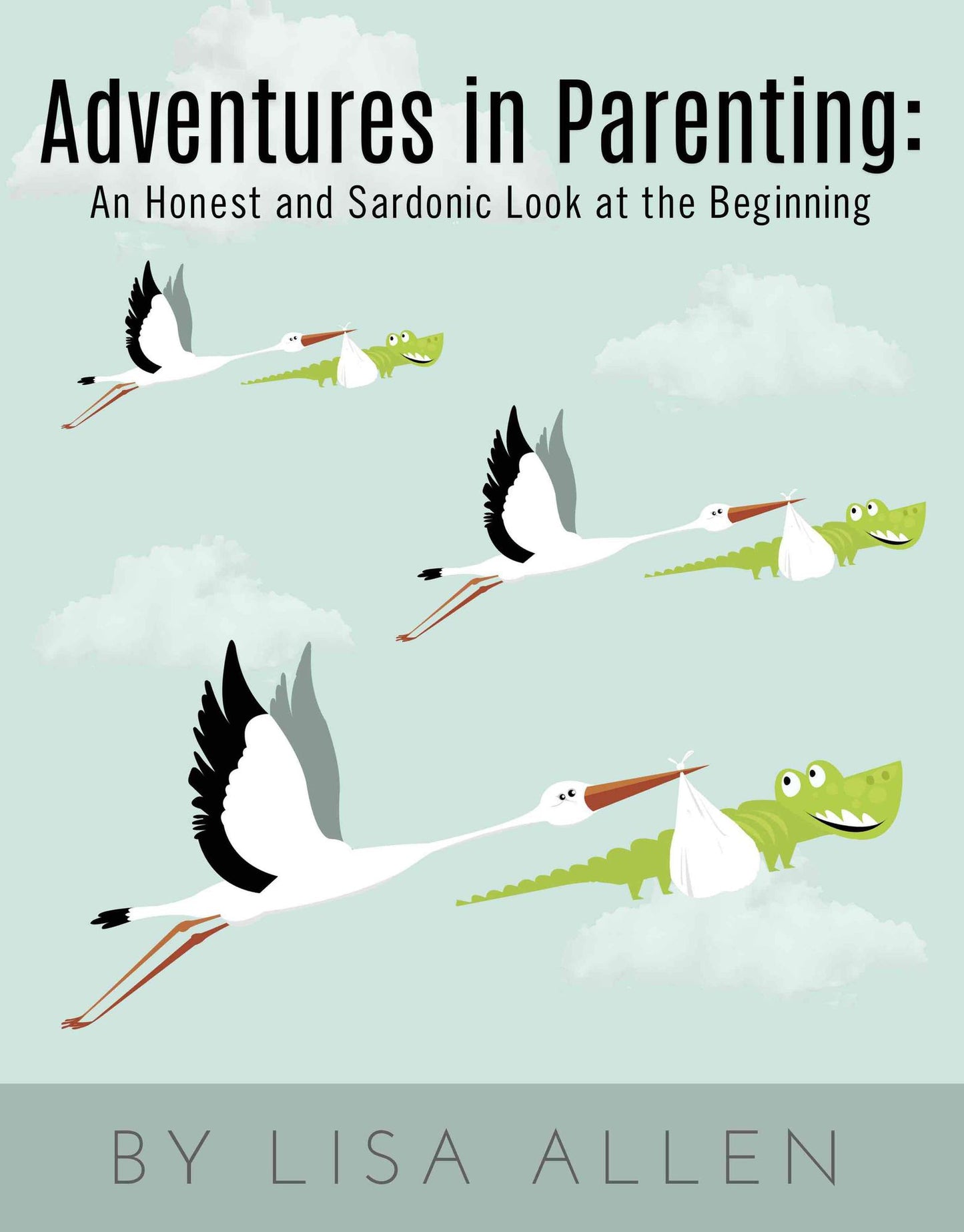 Adventures in Parenting:: An Honest and Sardonic Look at the Beginning