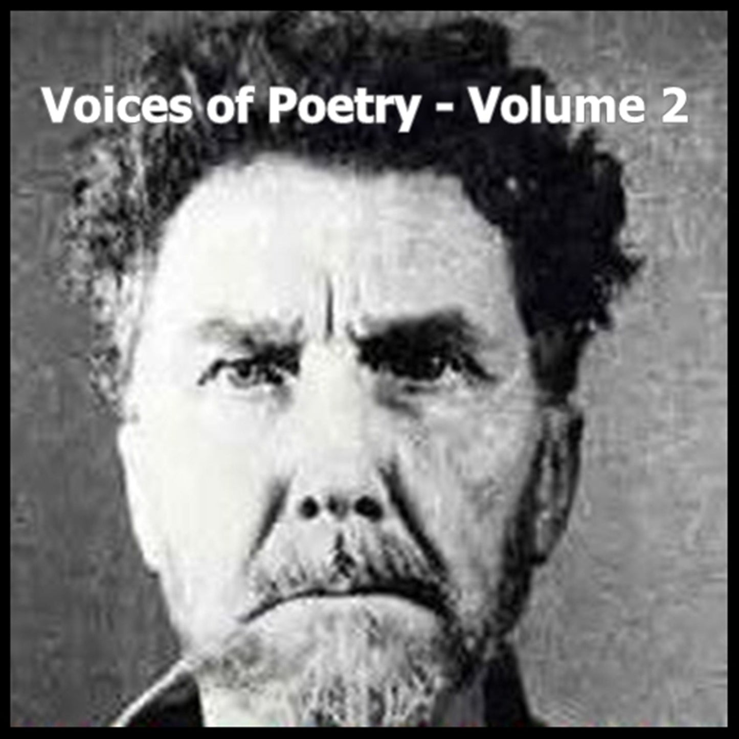 Voices of Poetry, Volume 2