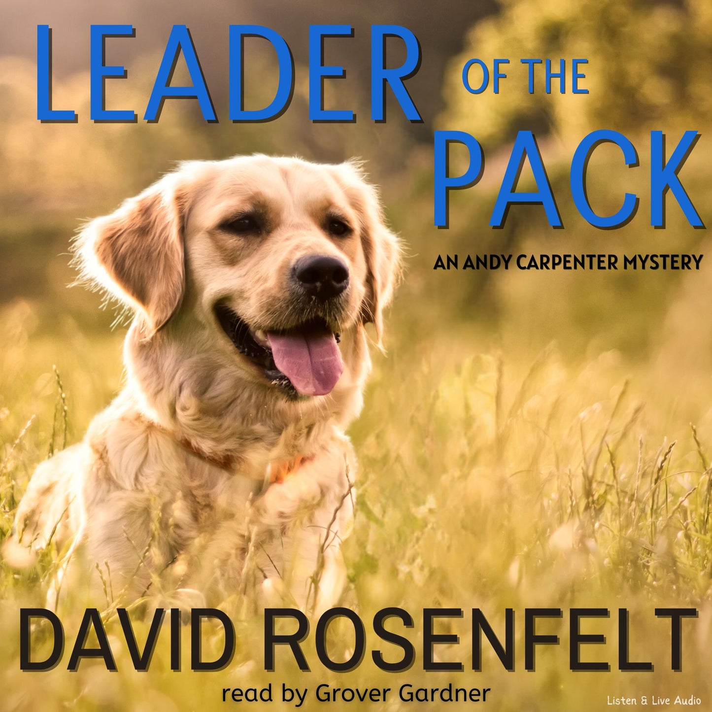 Leader of the Pack