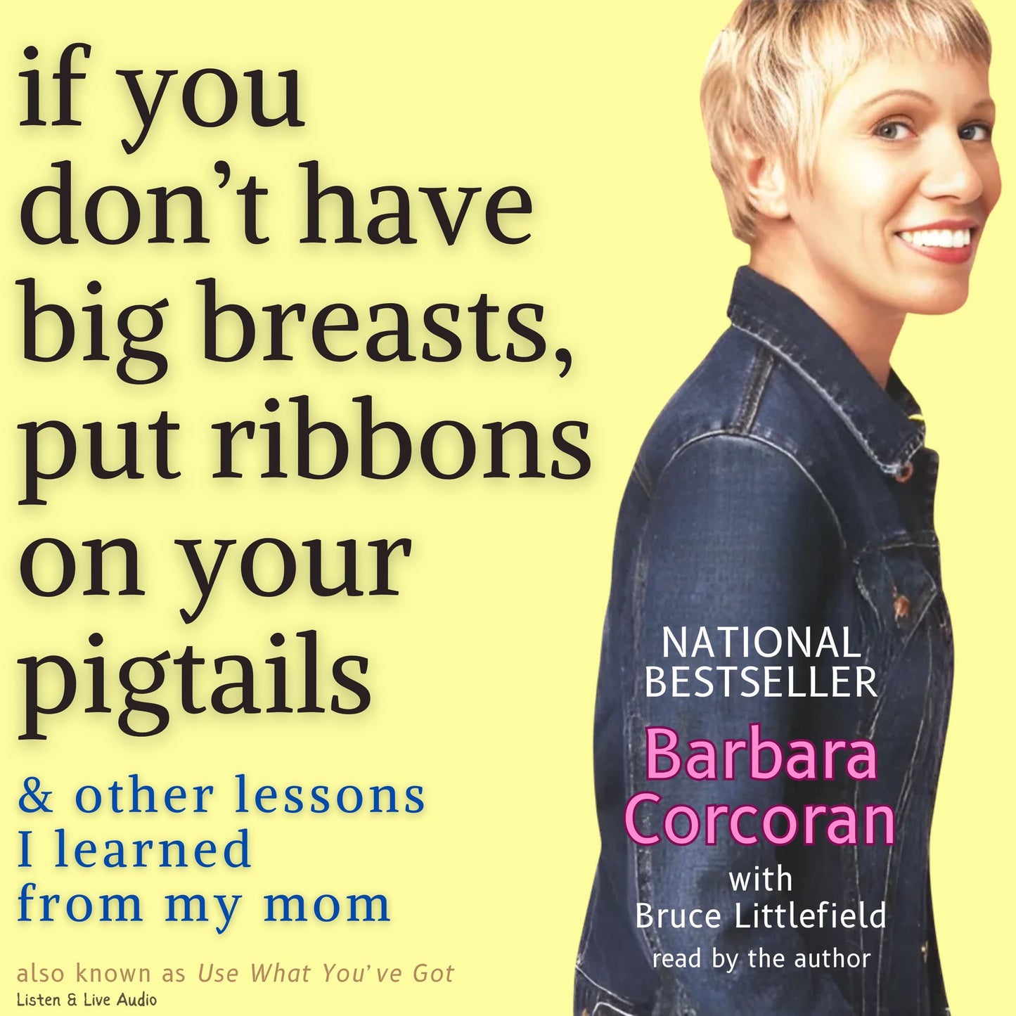If You Don't Have Big Breasts, Put Ribbons On Your Pigtails (Abridged)