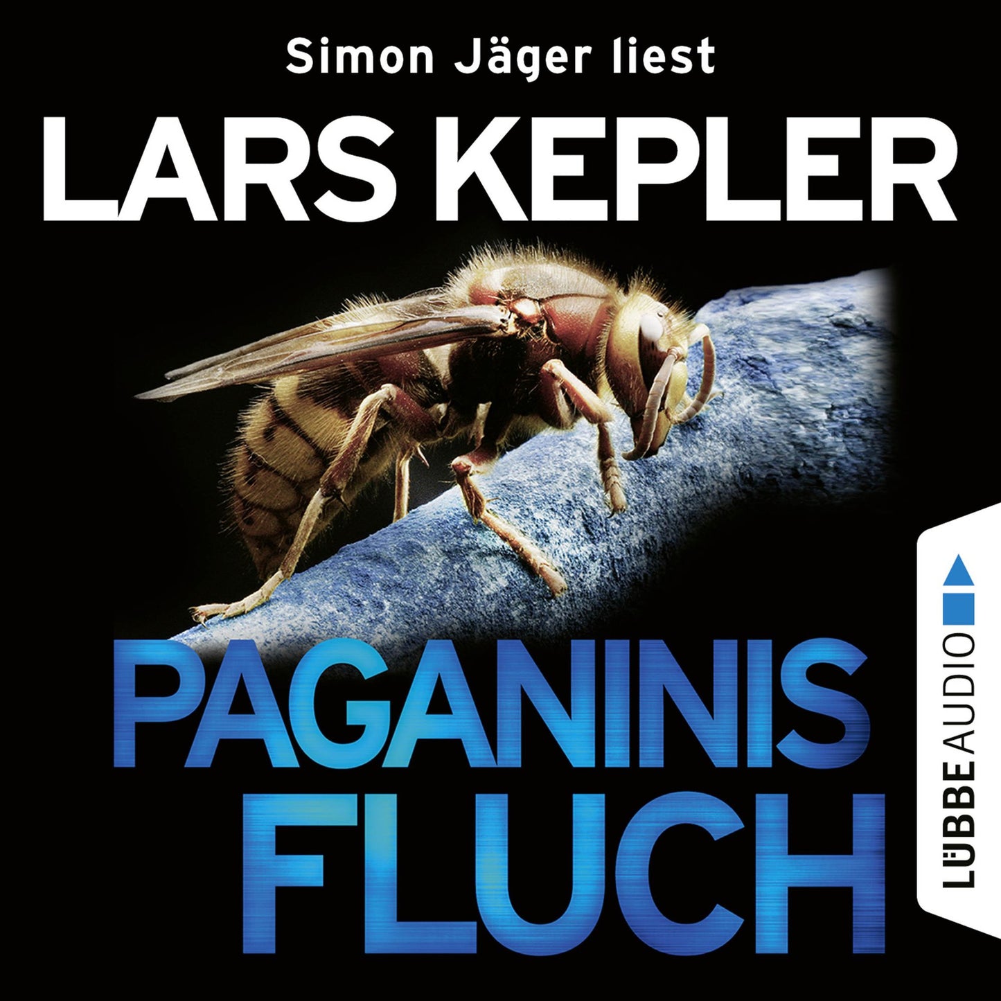 Paganinis Fluch (UngekÃ¼rzt)