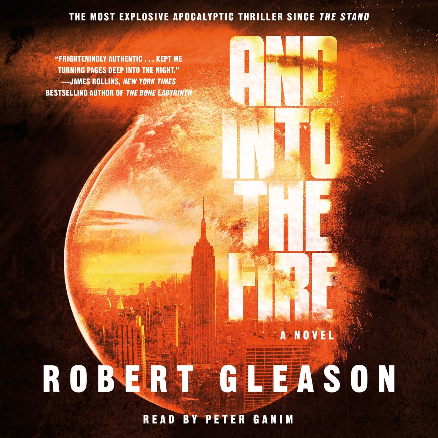 And Into the Fire: A Novel