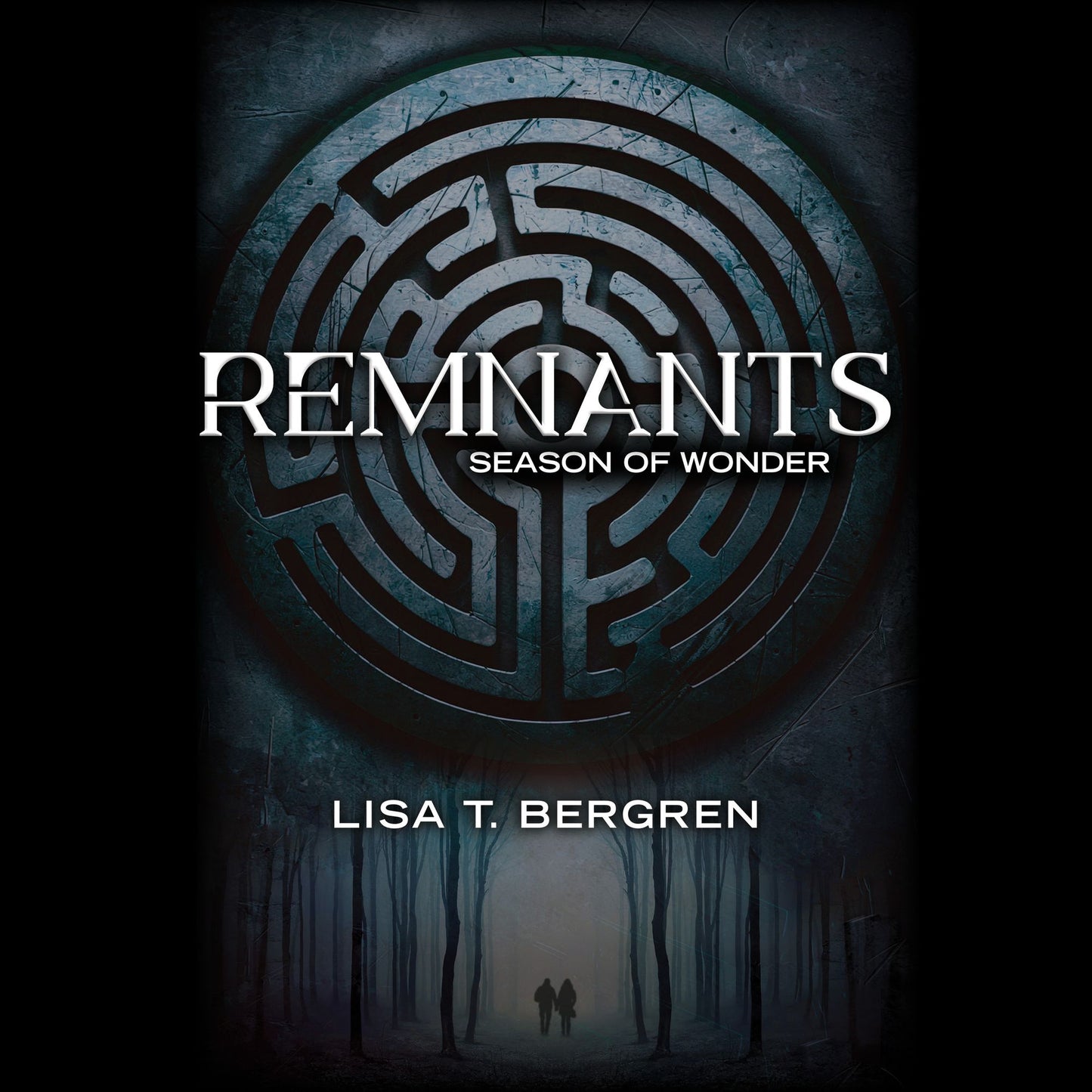 Seasons of Wonder: The Remnants, Book 1