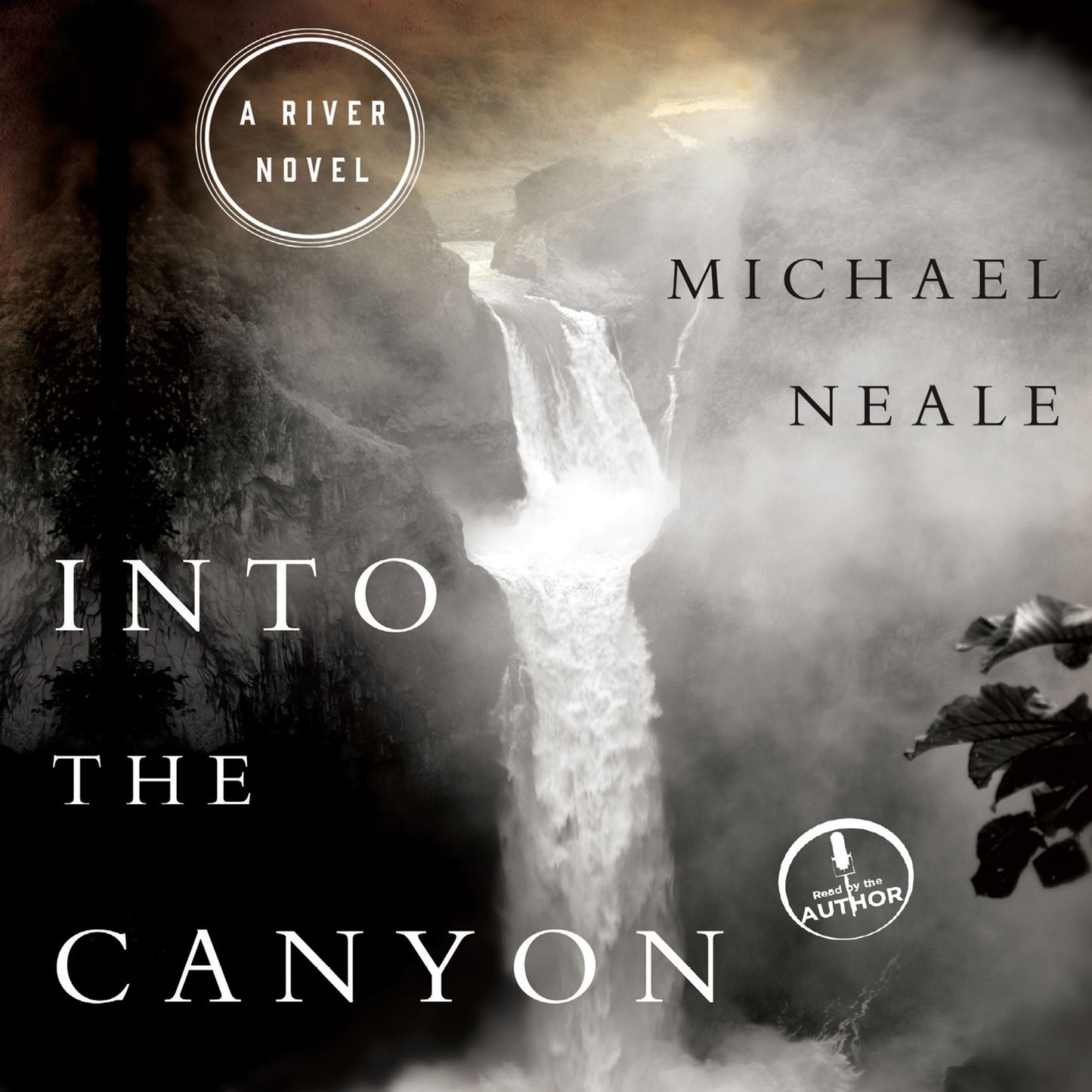 Into the Canyon: A River Novel