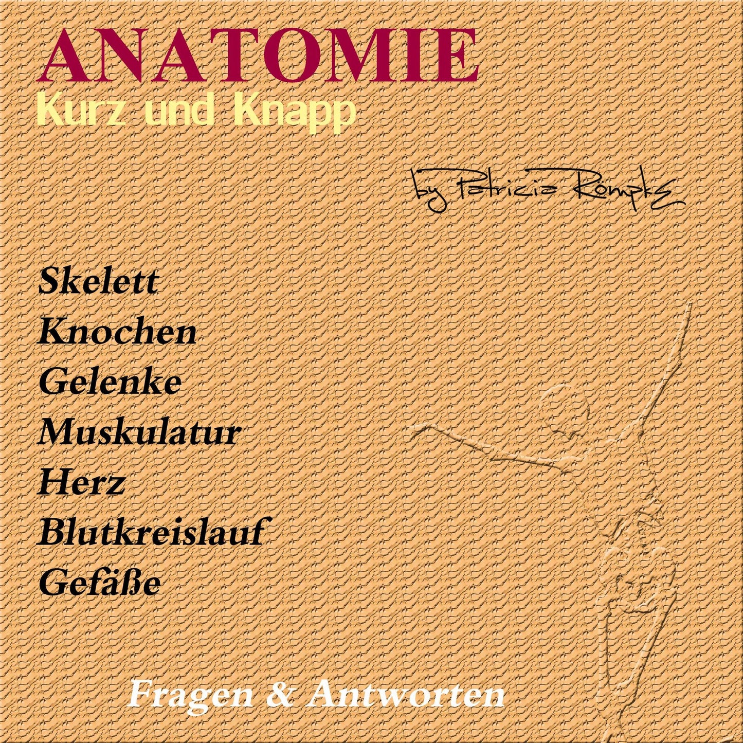 Anatomie kurz und knapp: Fragen & Antworten