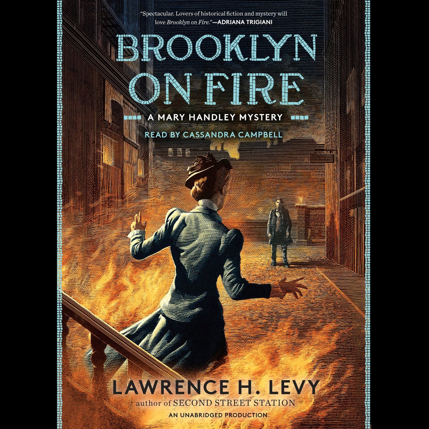 Brooklyn on Fire: A Mary Handley Mystery