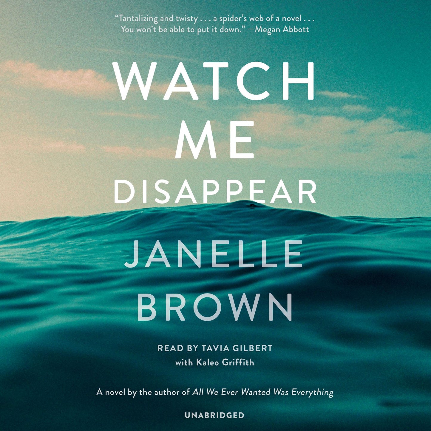 Watch Me Disappear: A Novel