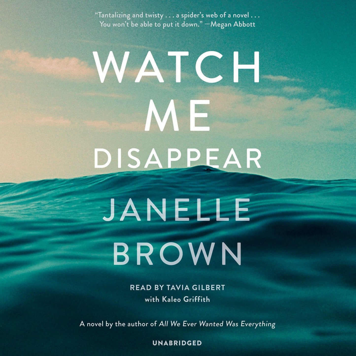Watch Me Disappear: A Novel