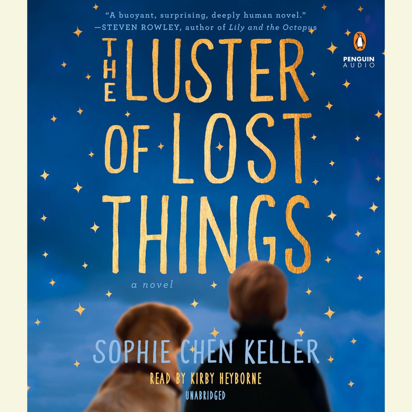 The Luster of Lost Things: a novel