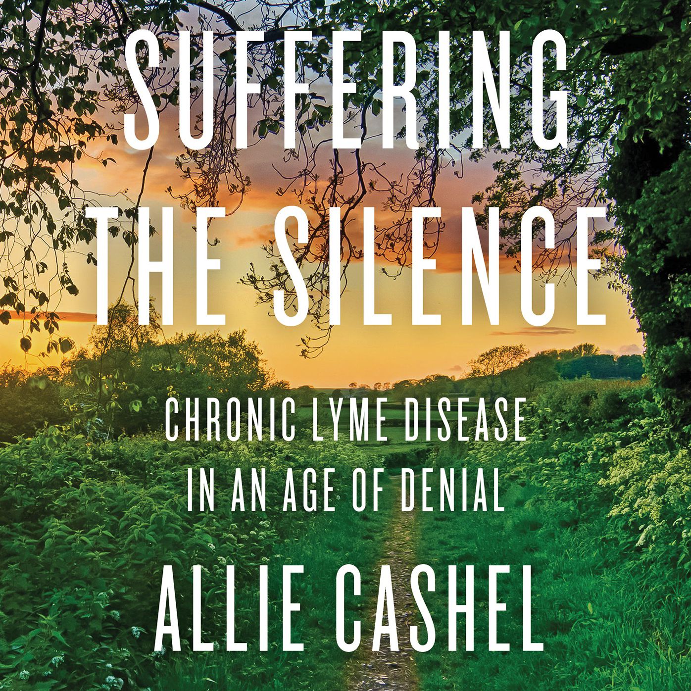 Suffering the Silence: Chronic Lyme Disease in an Age of Denial