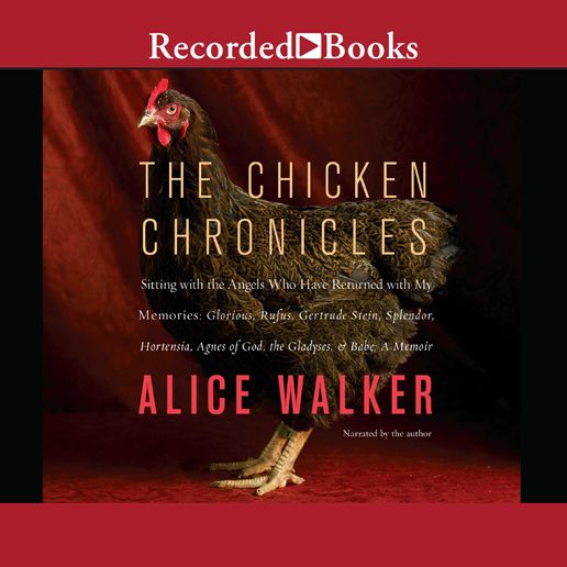 Chicken Chronicles: The Sitting with the Angels Who Have Returned with My Memories: Glorious, Rufus, Gertrude Stein, Splendor, Hortensia, Agnes of God, The Gladyses, & Babe: A Memoir