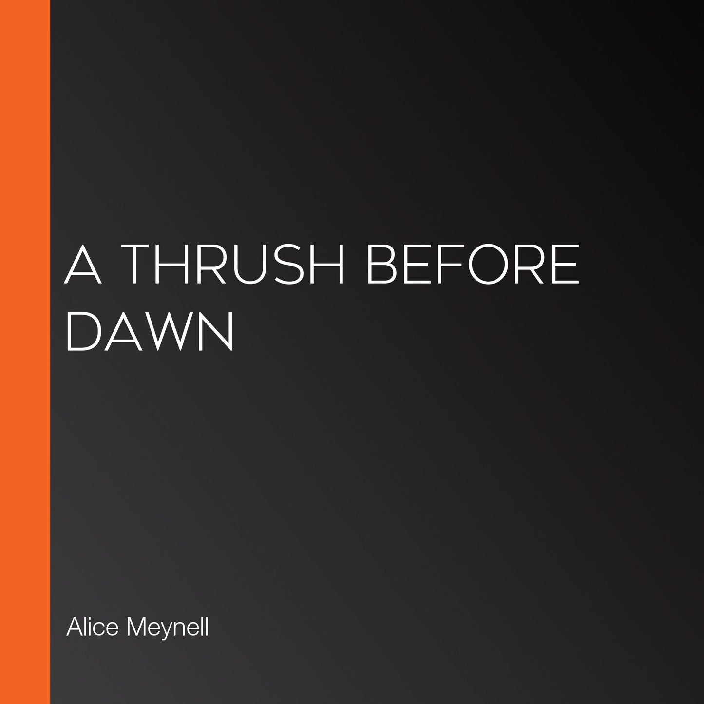 A Thrush Before Dawn