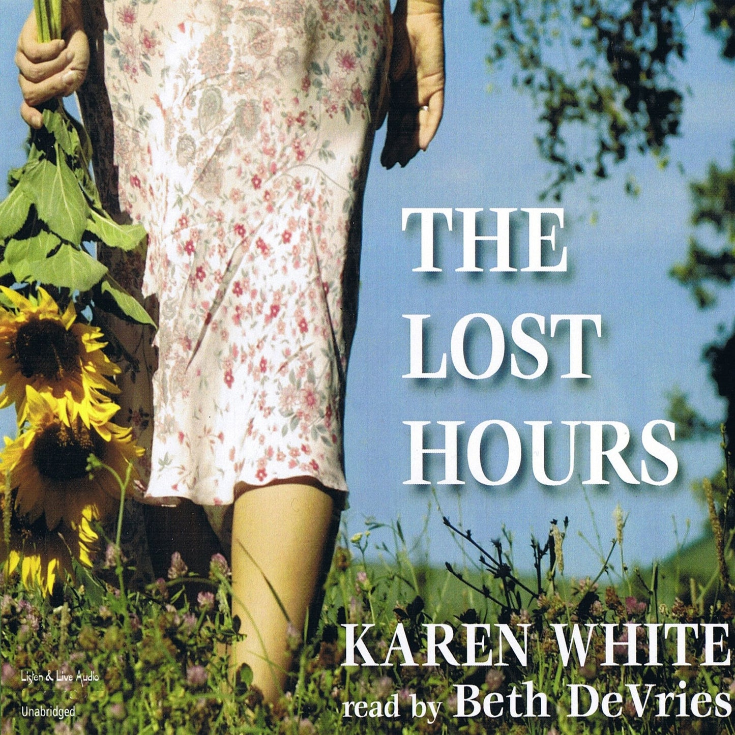The Lost Hours