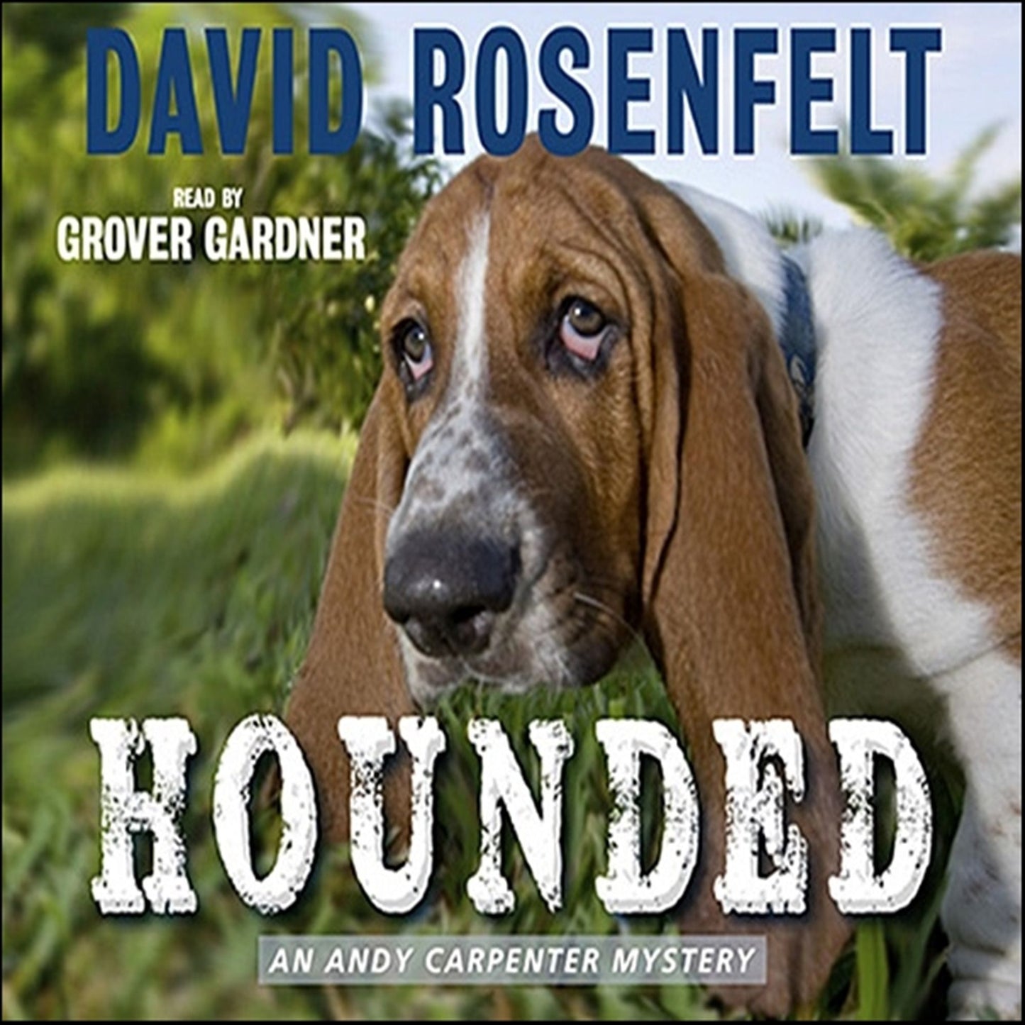 Hounded