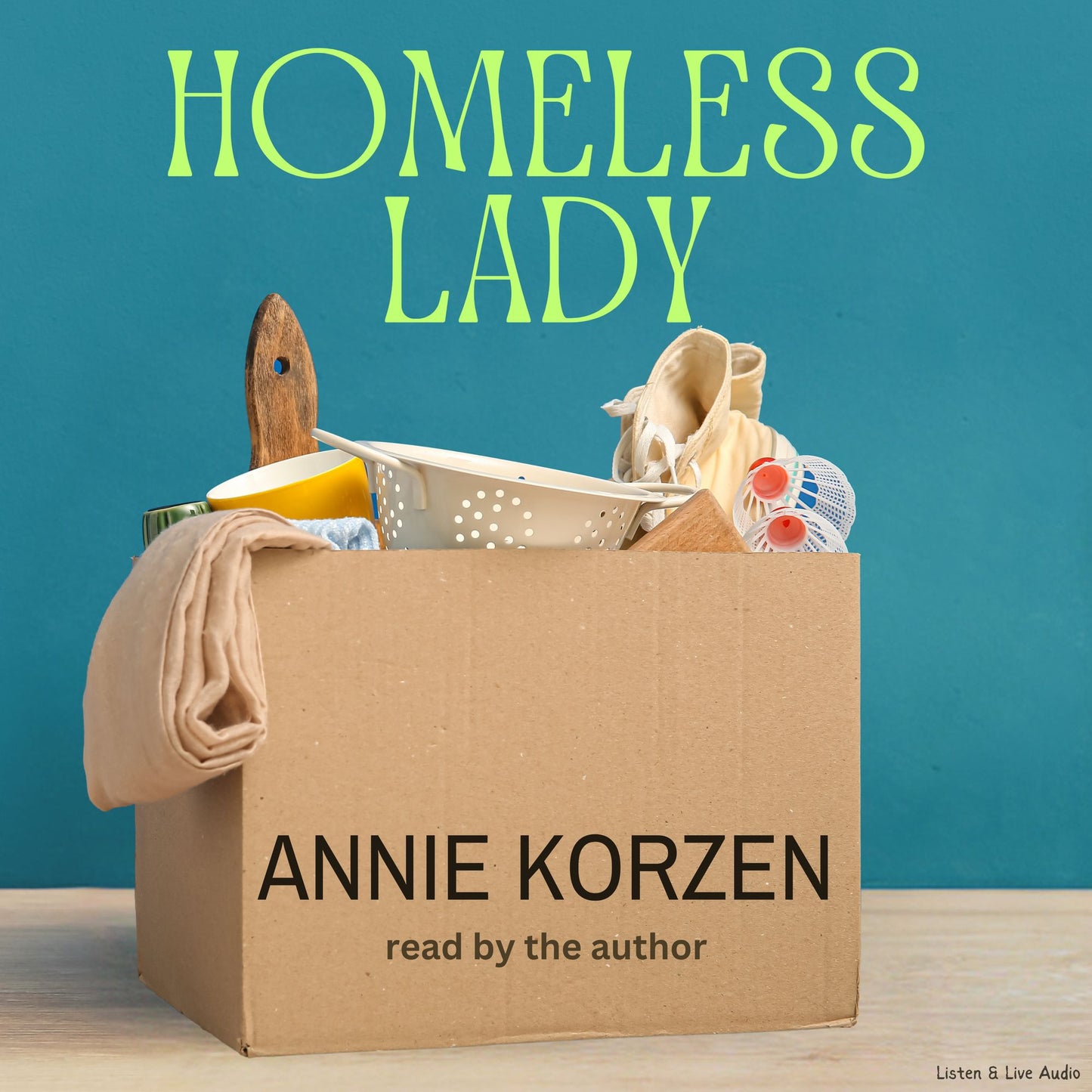 Homeless Lady