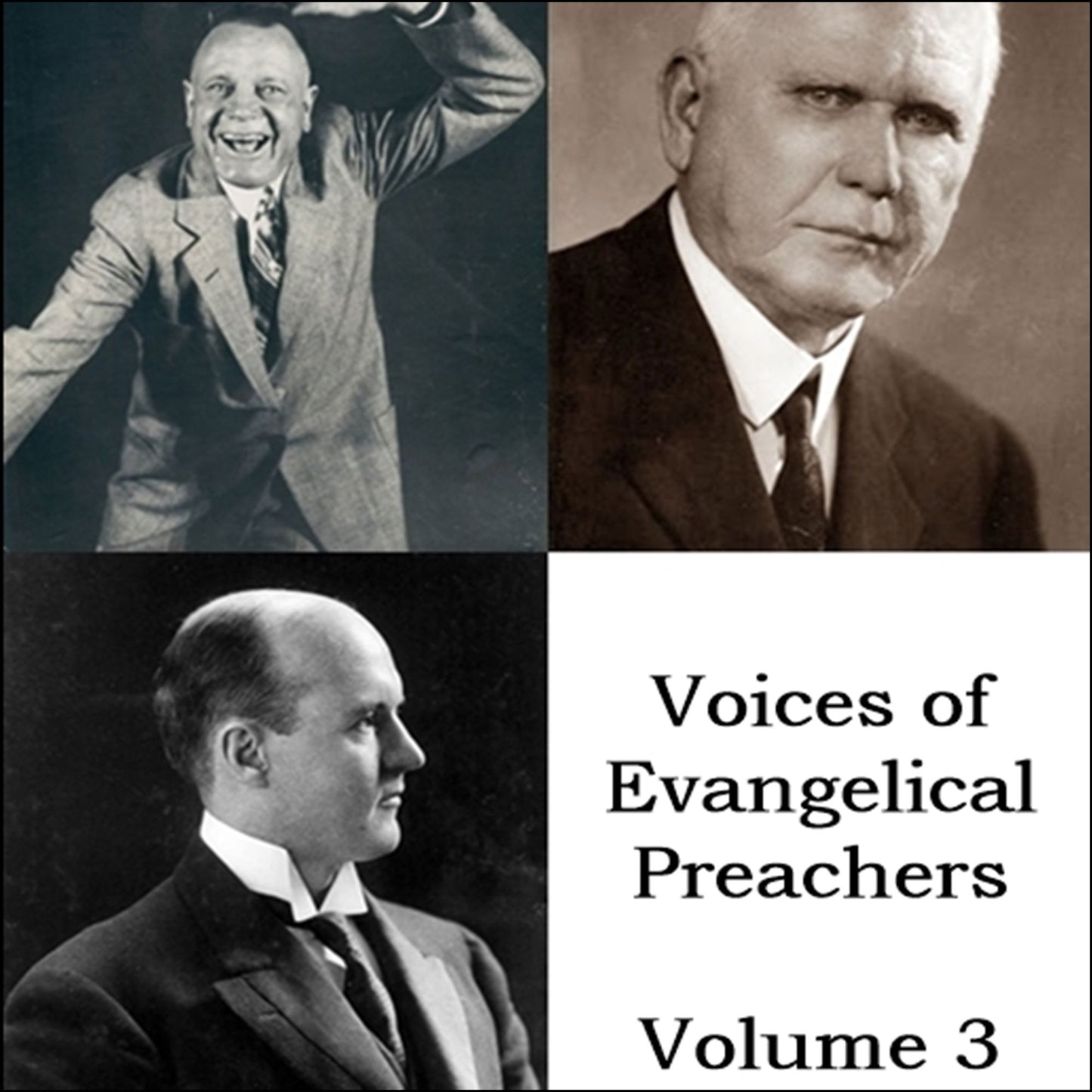 Voices of Evangelical Preachers - Volume 3