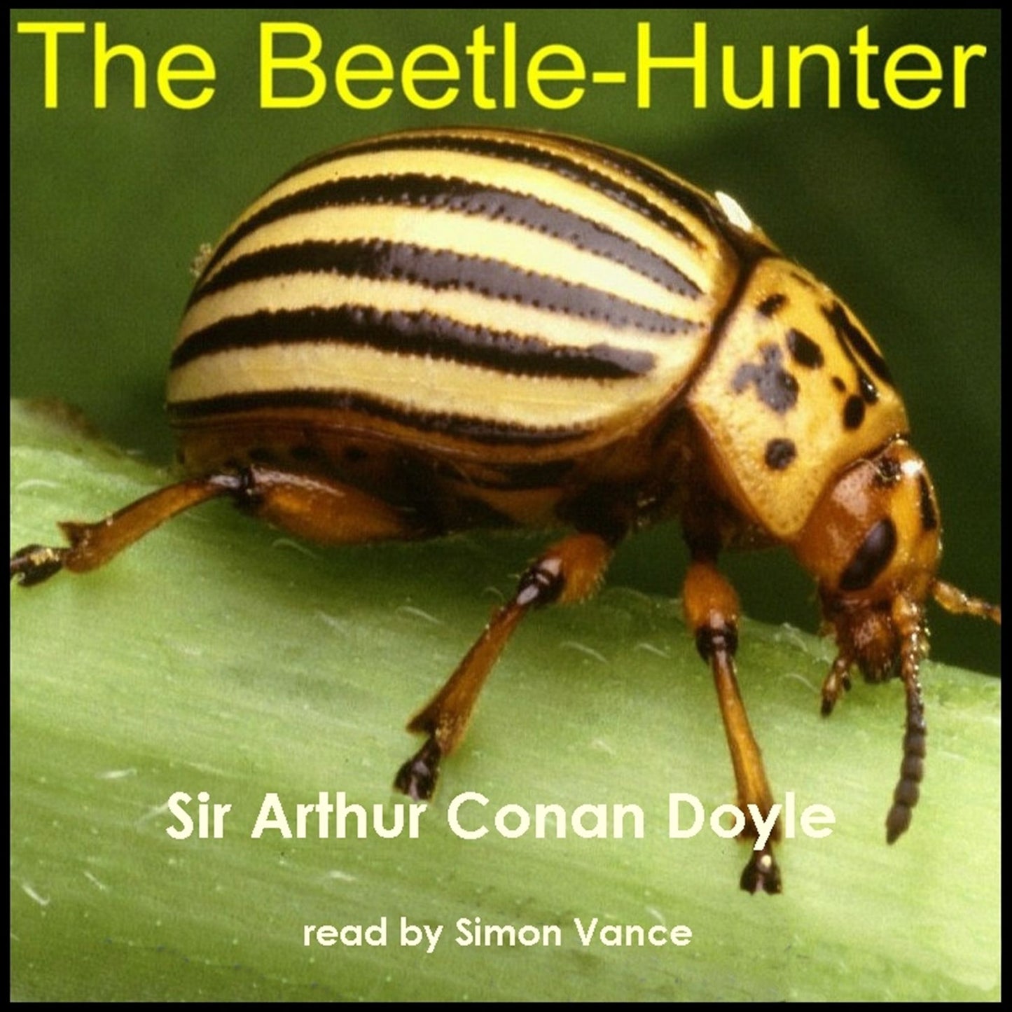 The Beetle-Hunter