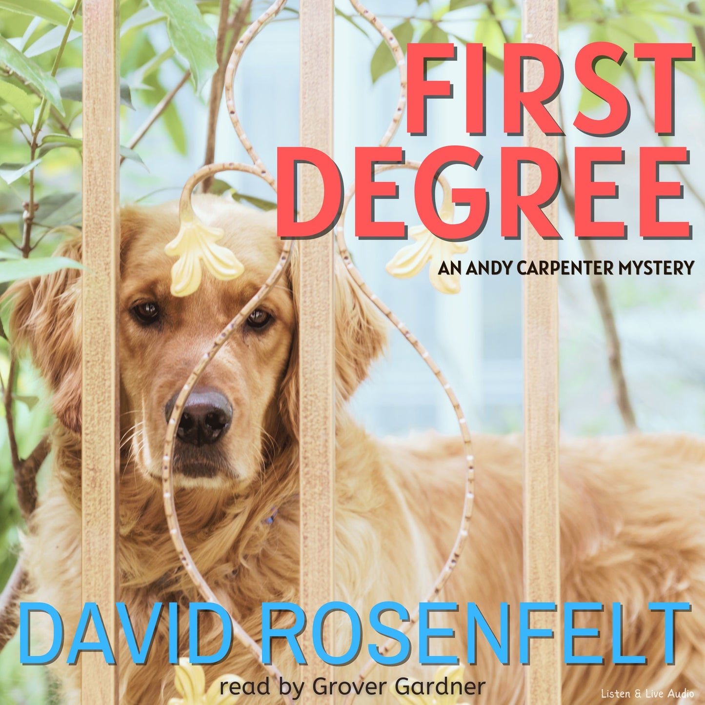 First Degree