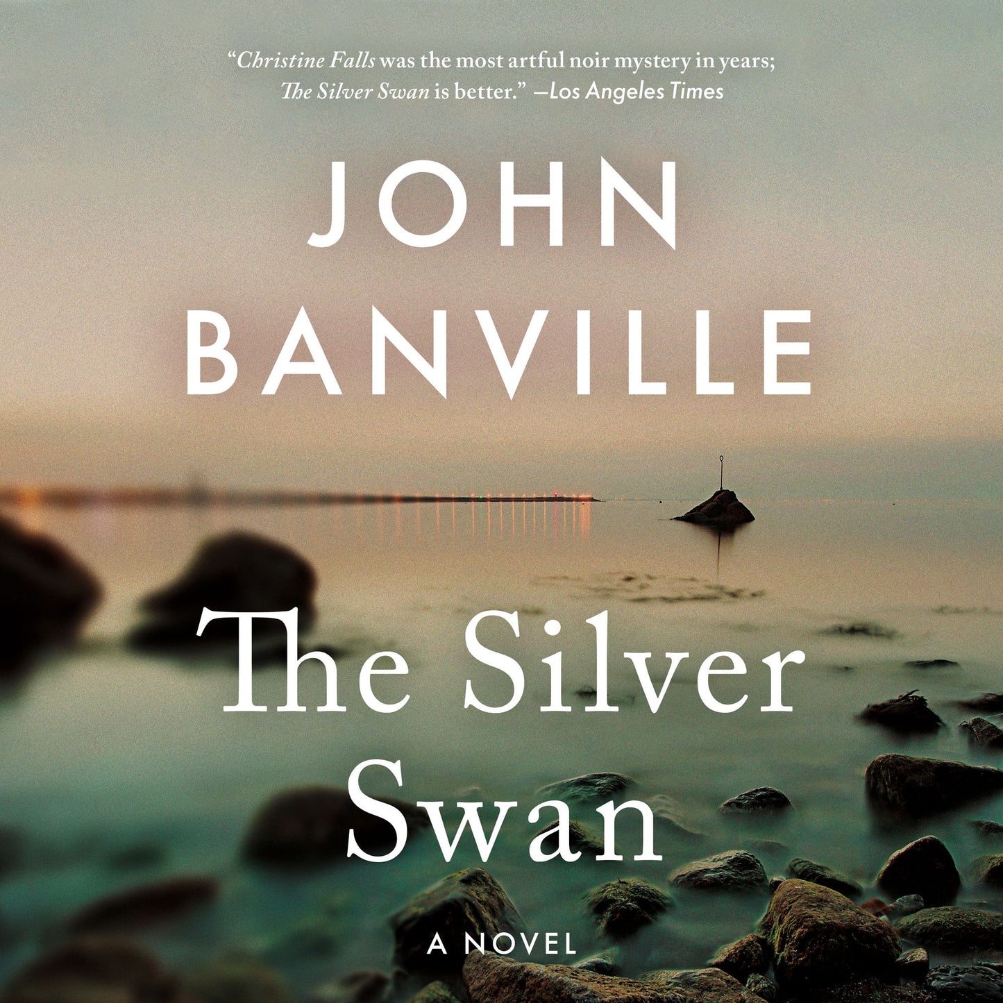The Silver Swan: A Novel