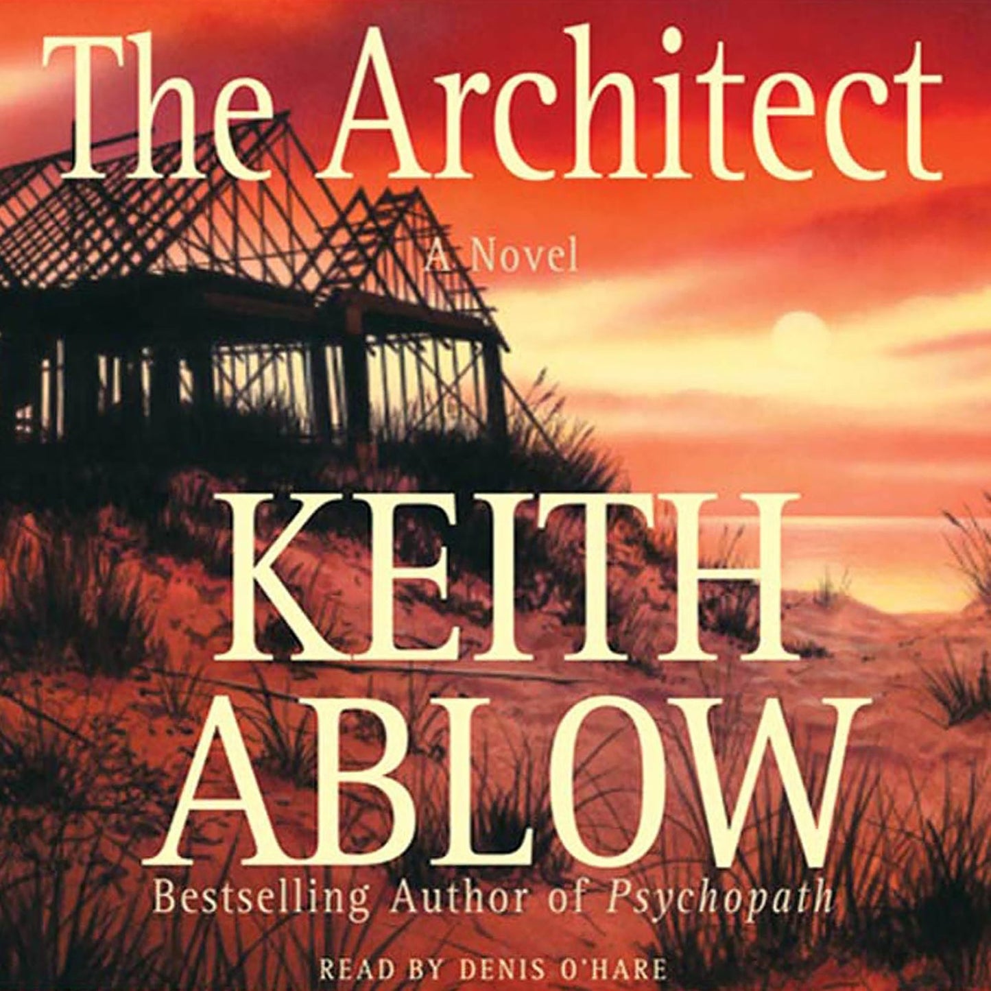 The Architect: A Novel (Abridged)