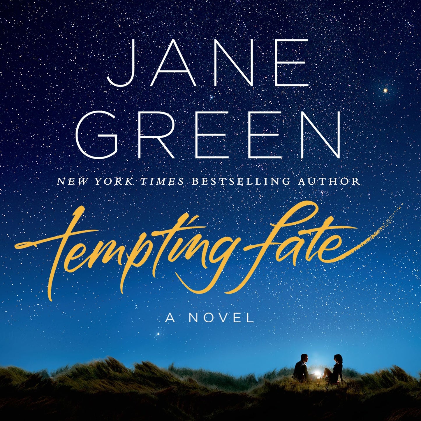 Tempting Fate: A Novel