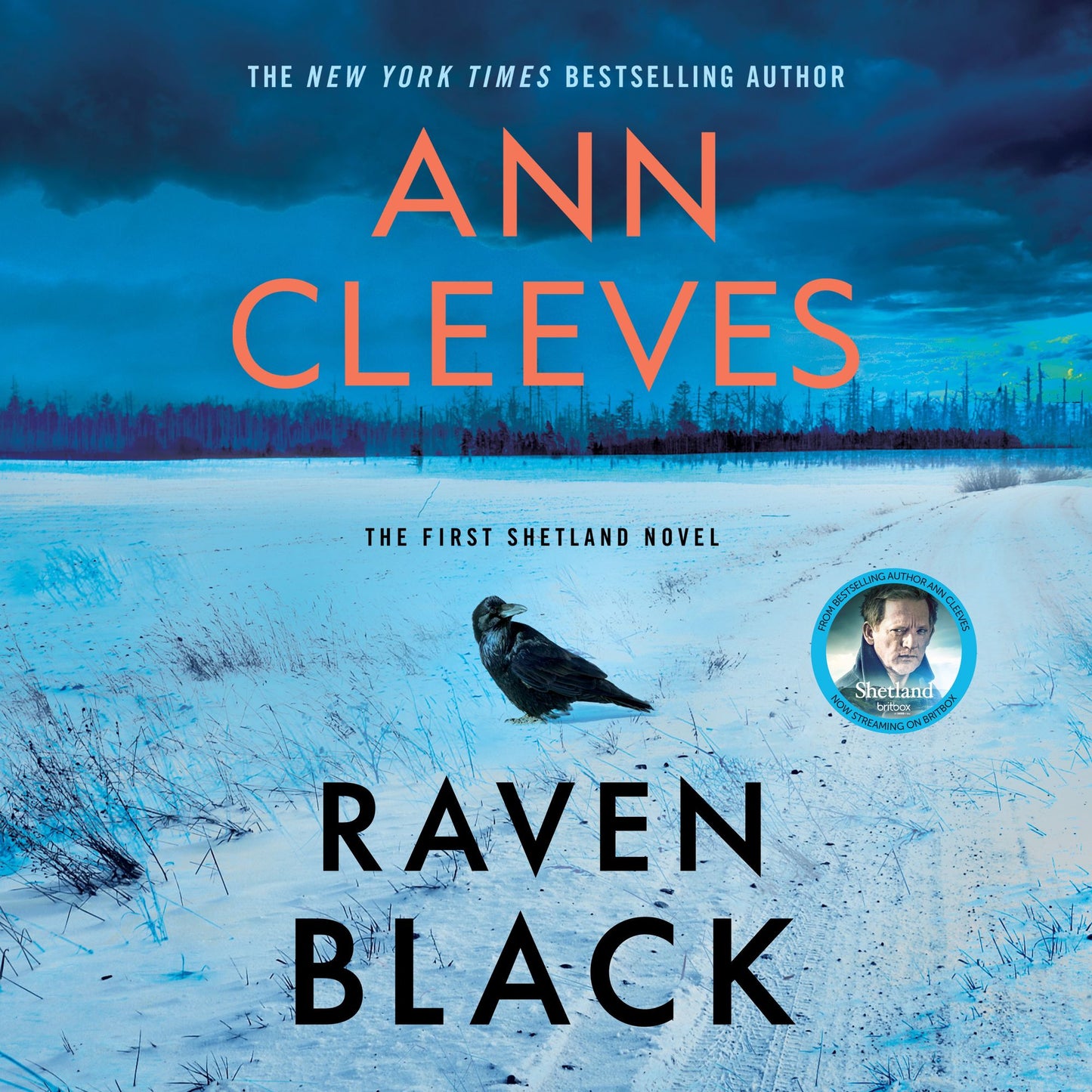 Raven Black: Book One of the Shetland Island Quartet