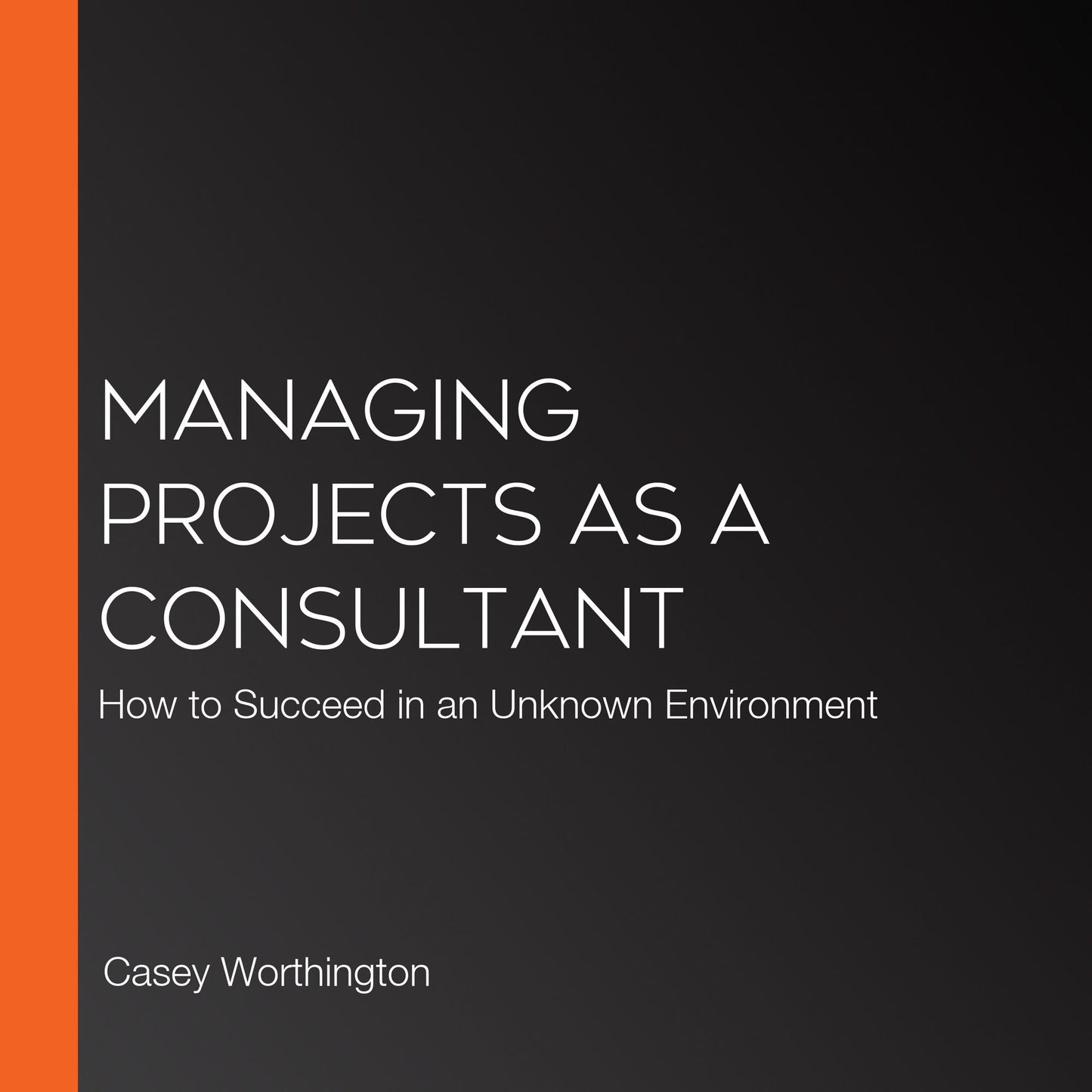 Managing Projects as a Consultant: How to Succeed in an Unknown Environment