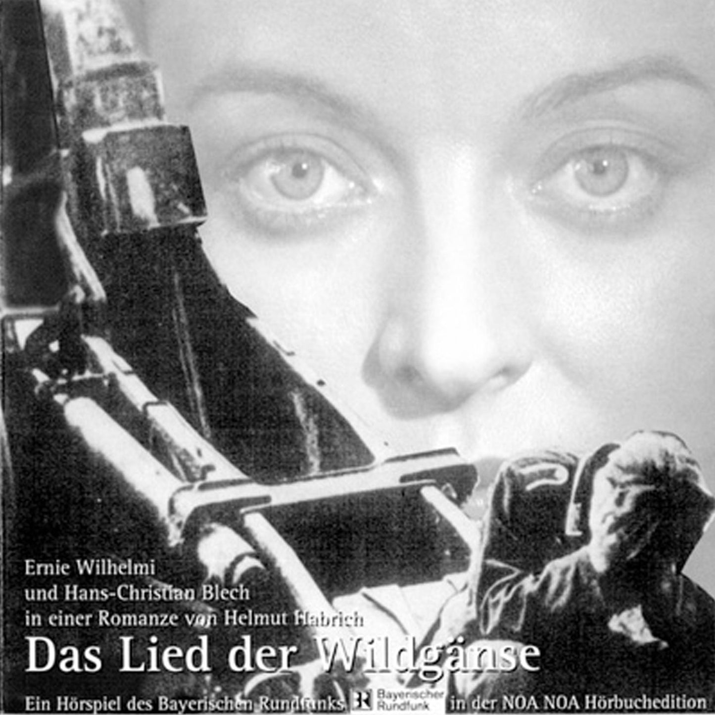 Das Lied der Wildgänse: Eine Hörspiel-Romanze (Abridged)