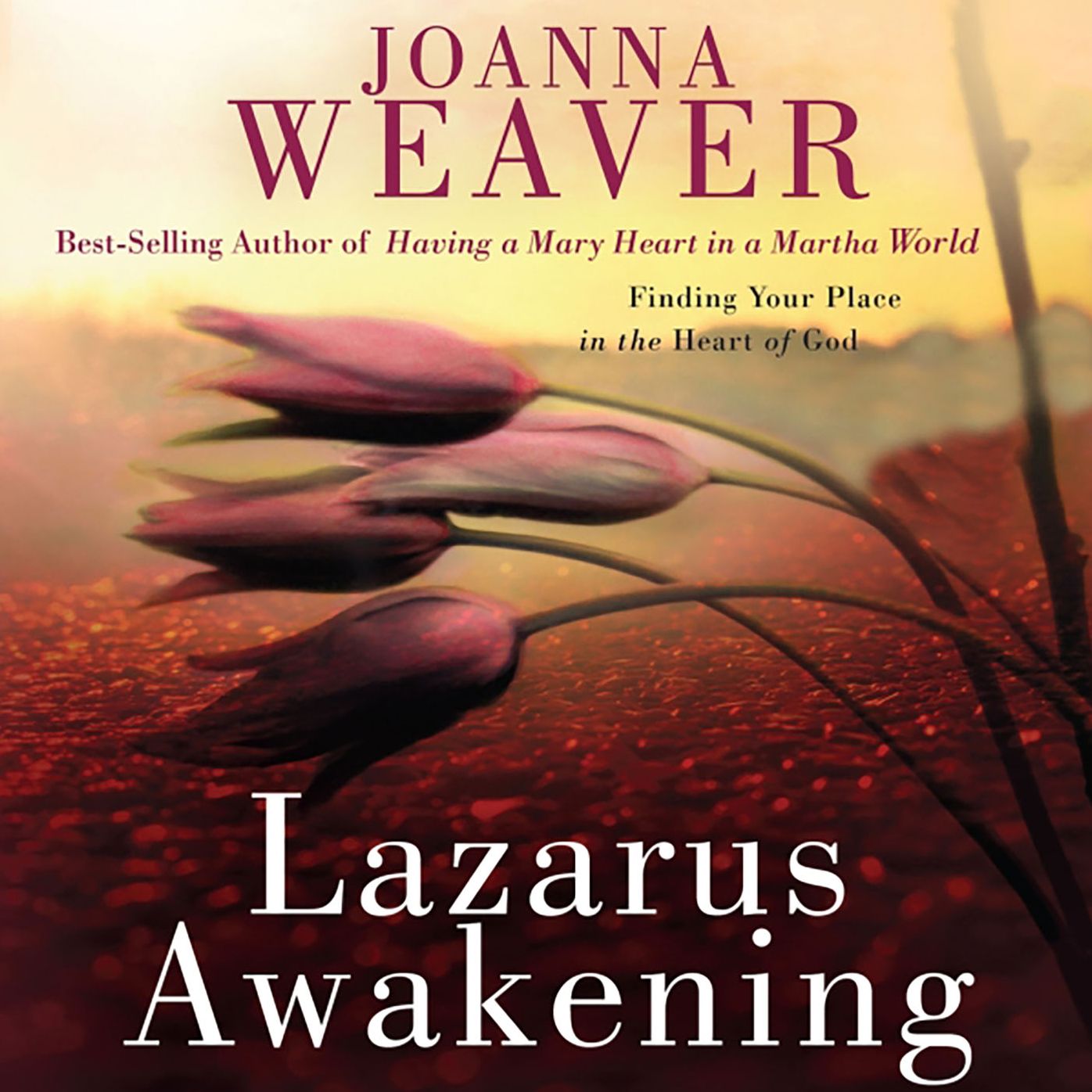 Lazarus Awakening: Finding Your Place in the Heart of God