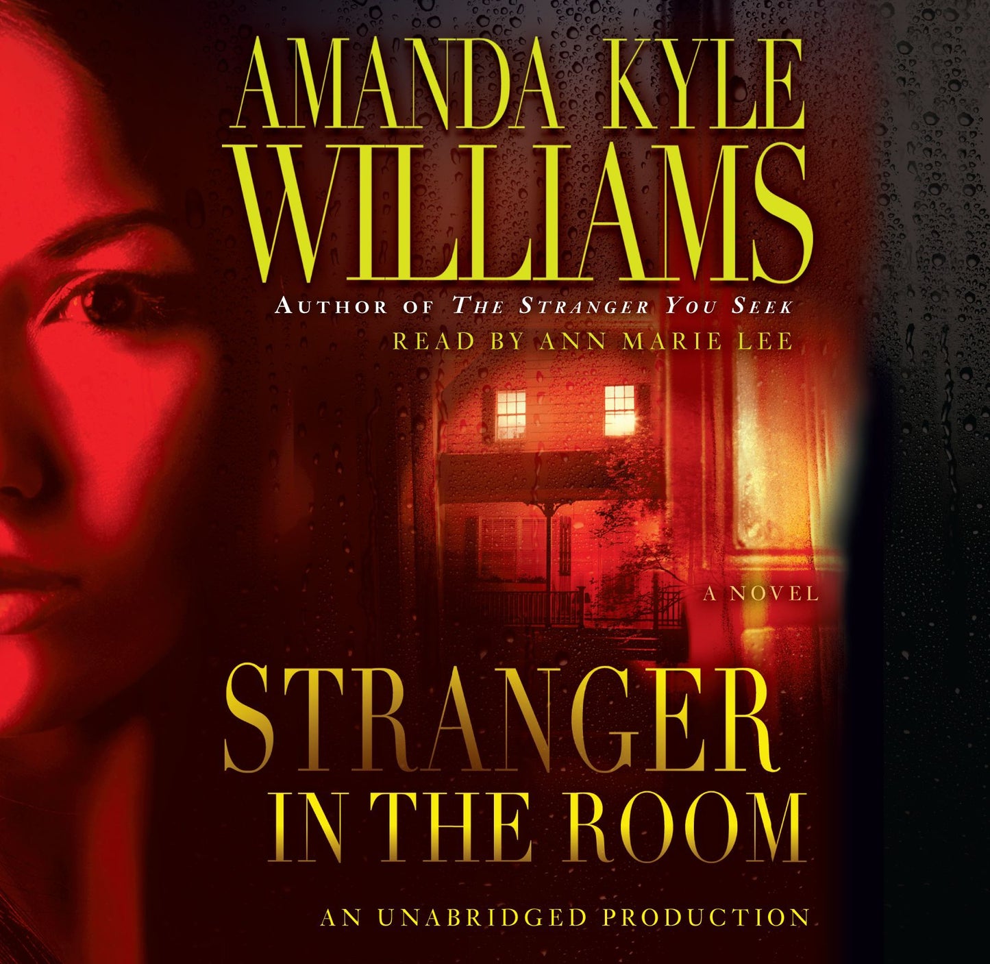 Stranger in the Room: A Novel