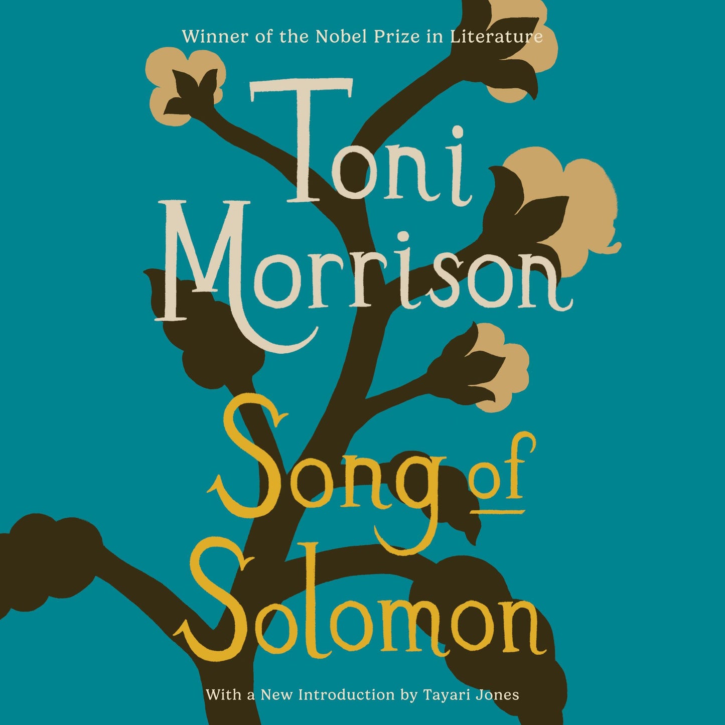 Song of Solomon: A novel by