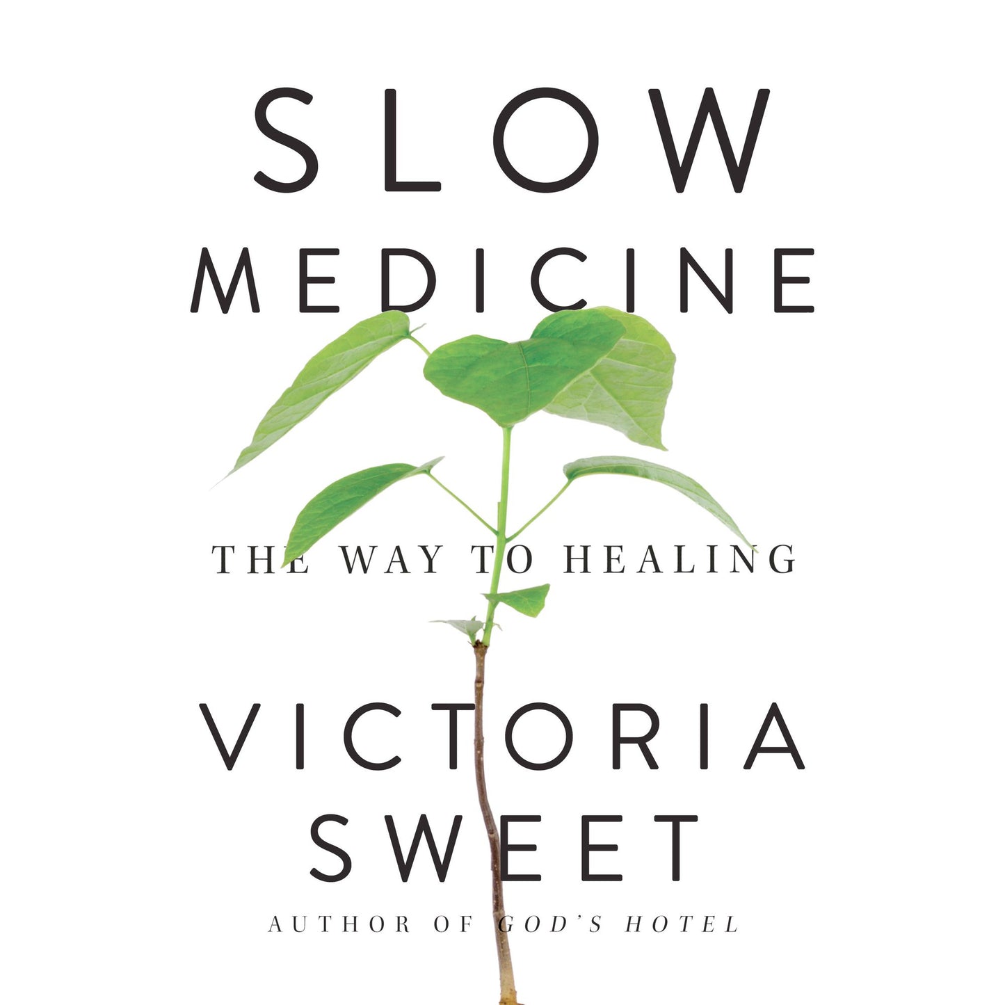 Slow Medicine: The Way to Healing