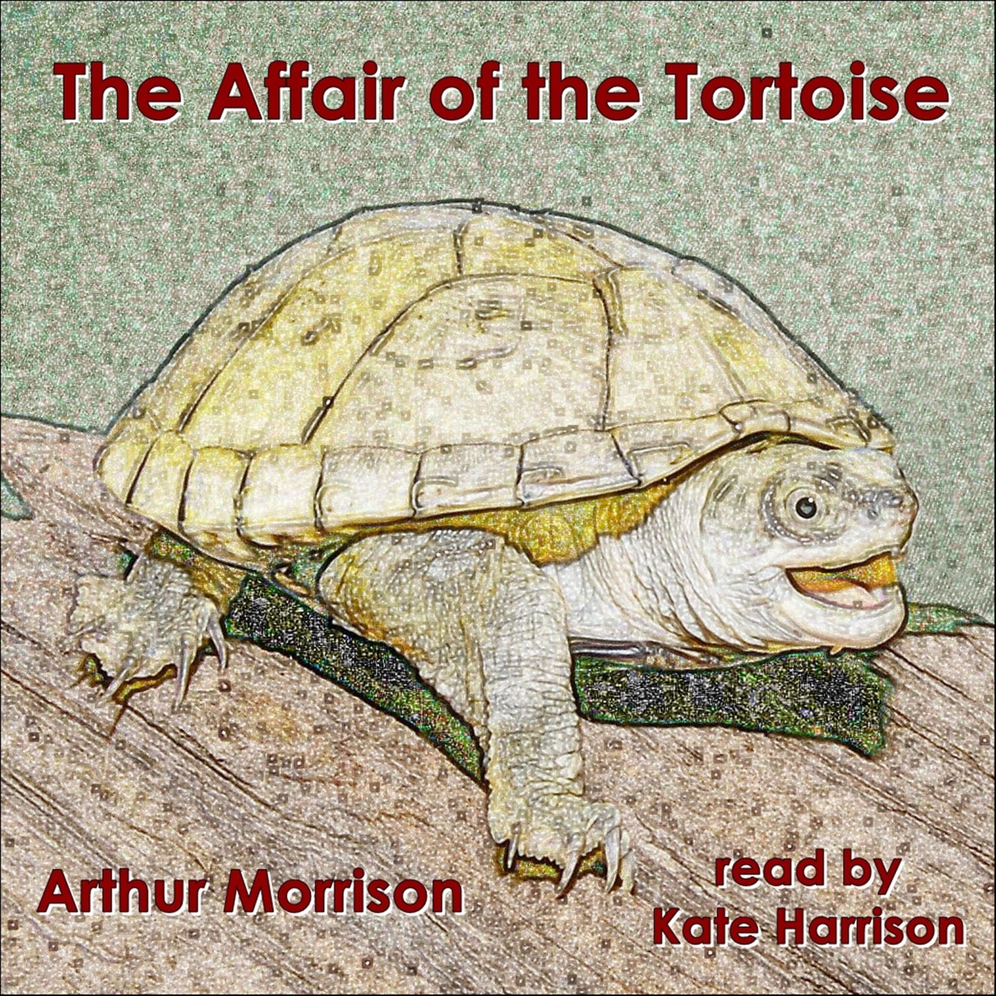 The Affair of the Tortoise