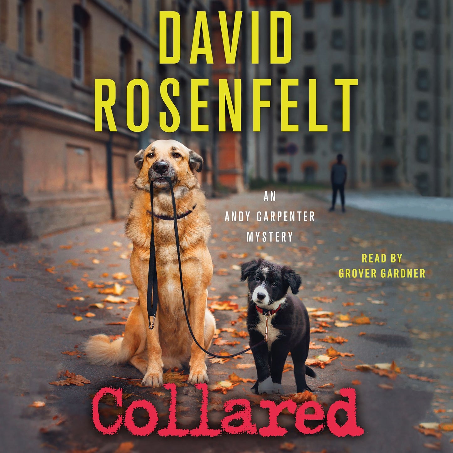 Collared: An Andy Carpenter Mystery