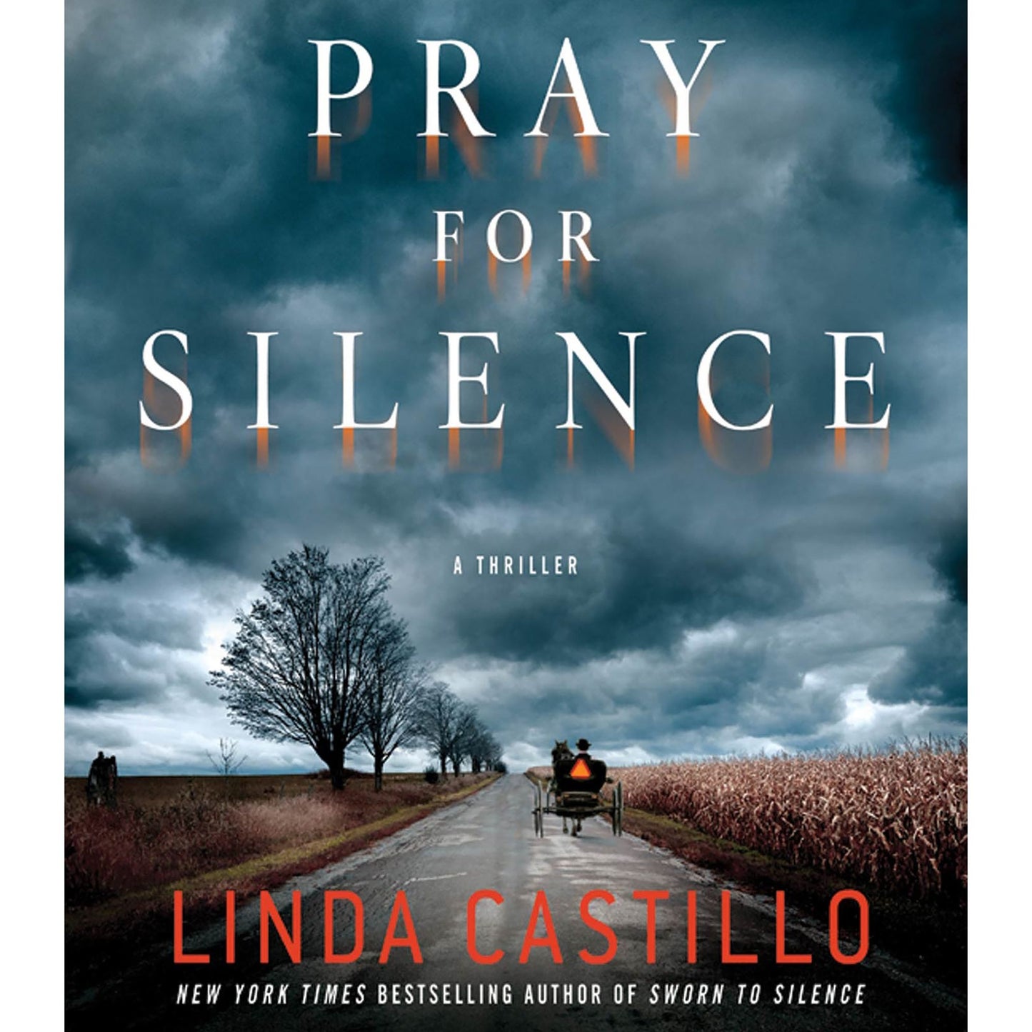 Pray for Silence: A Thriller