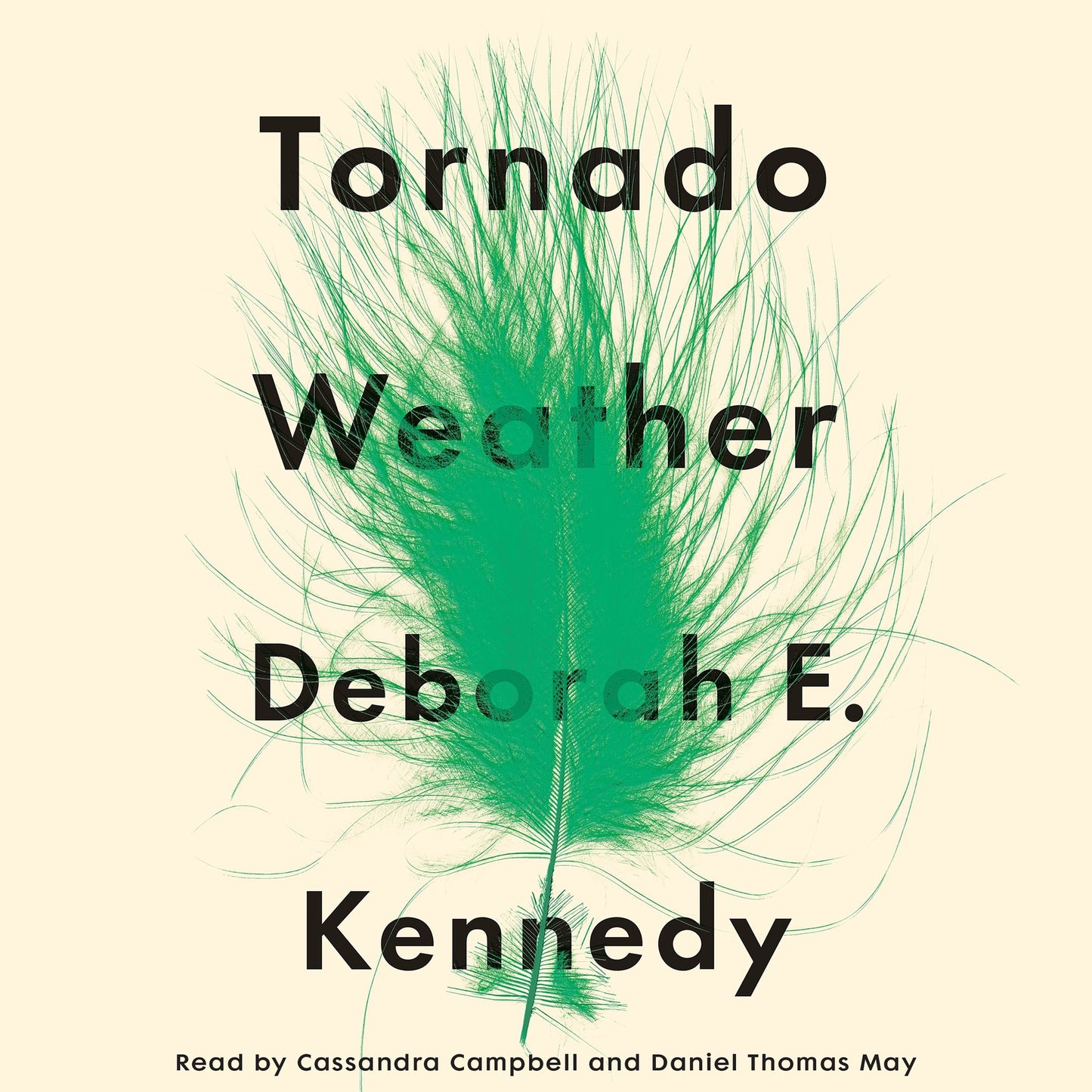Tornado Weather: A Novel