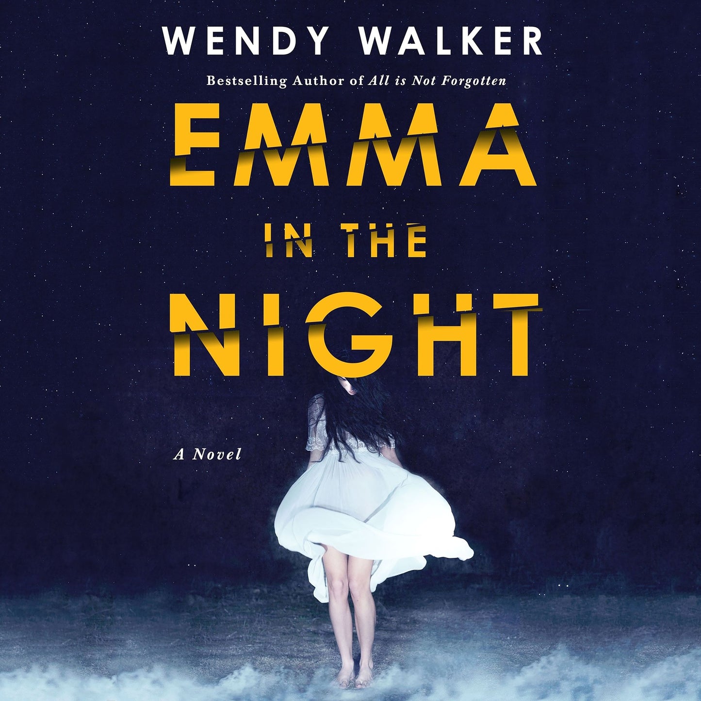 Emma in the Night: A Novel