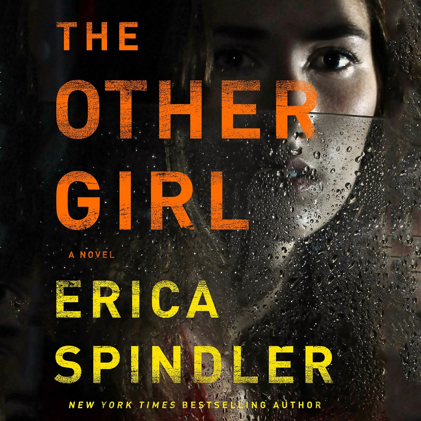 The Other Girl: A Novel