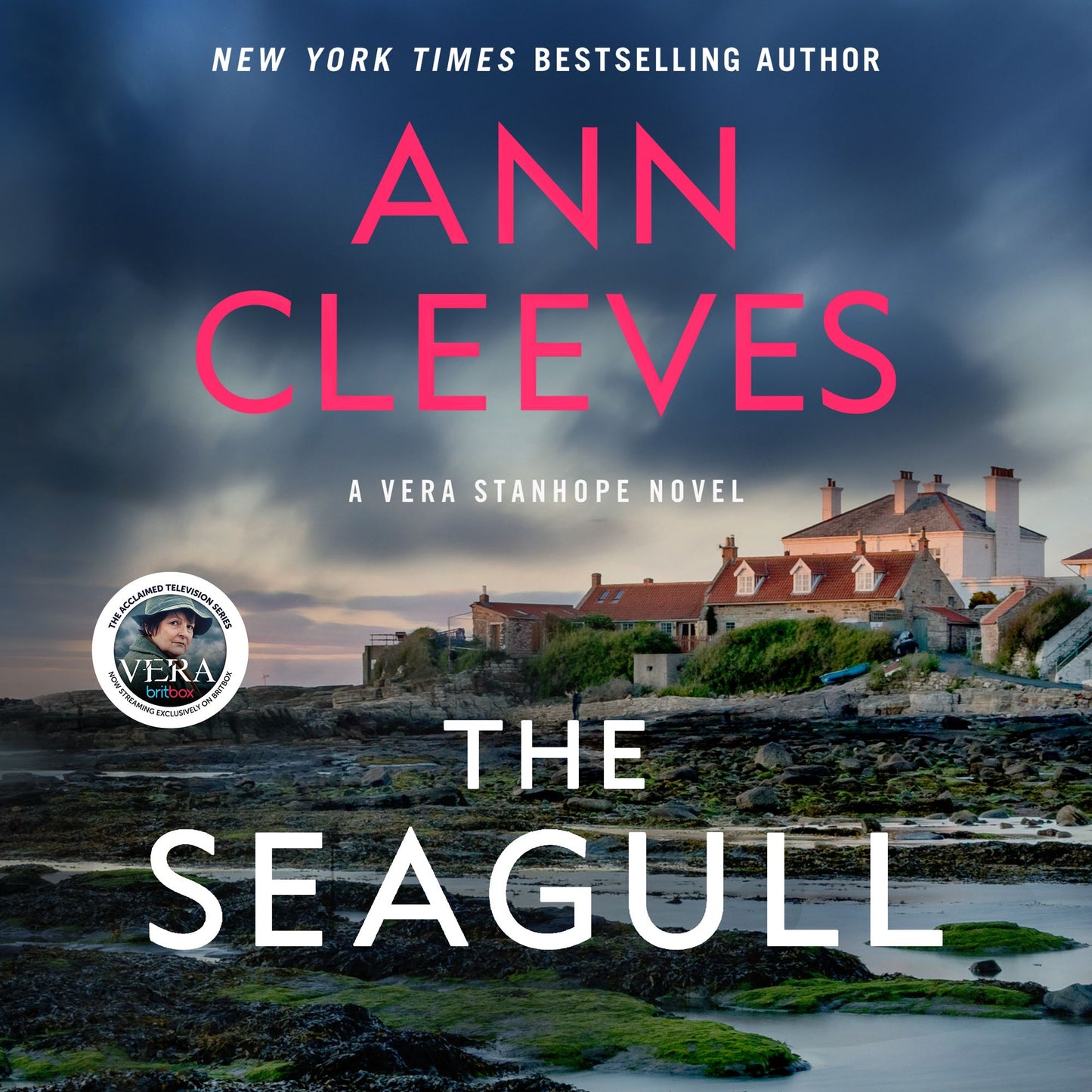 The Seagull: A Vera Stanhope Mystery