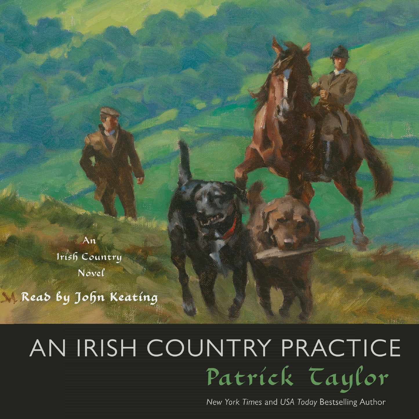 An Irish Country Practice: An Irish Country Novel