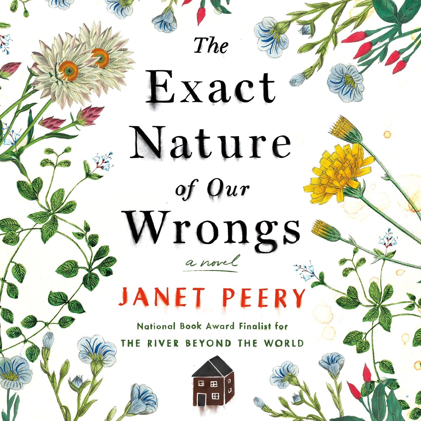 The Exact Nature of Our Wrongs: A Novel