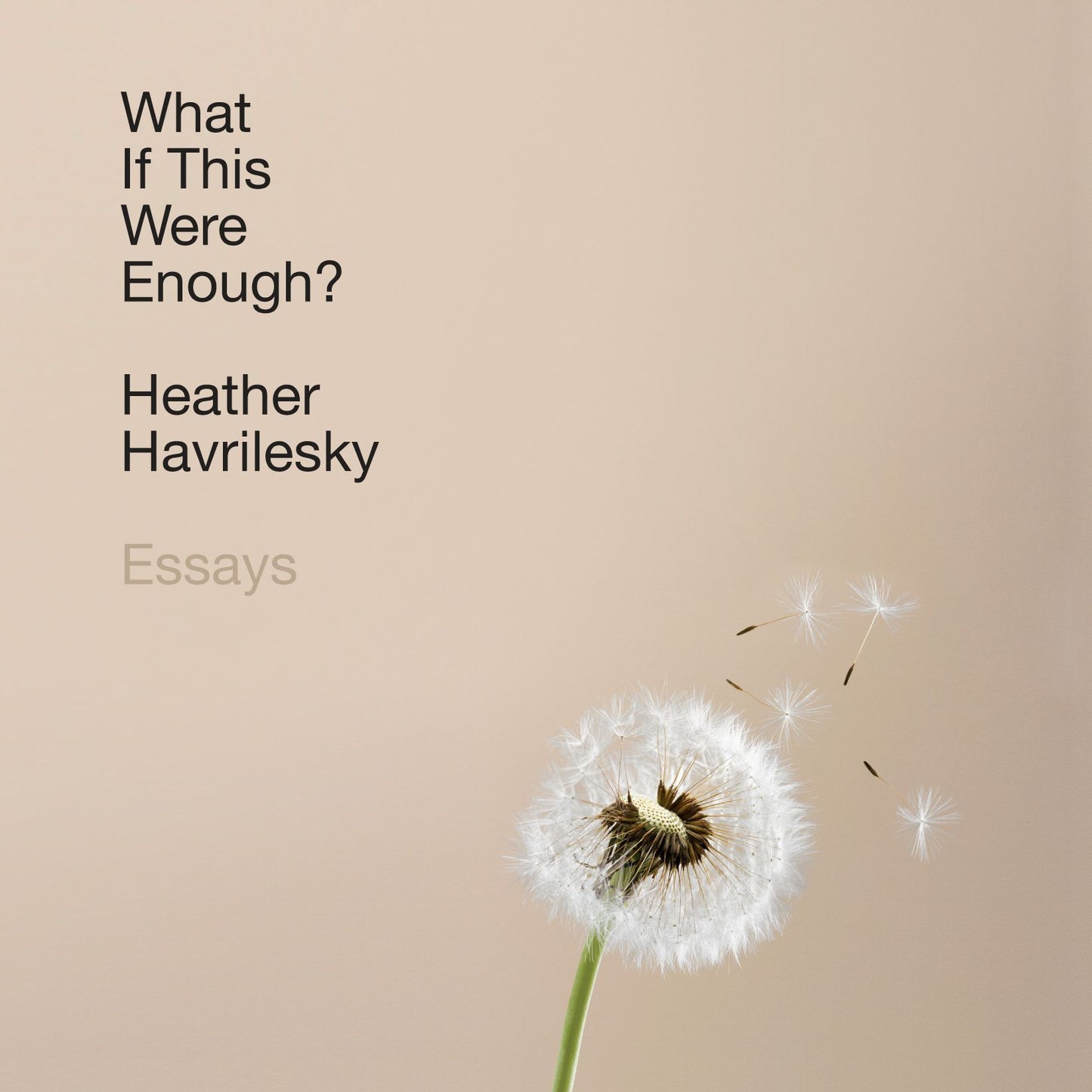 What If This Were Enough?: Essays