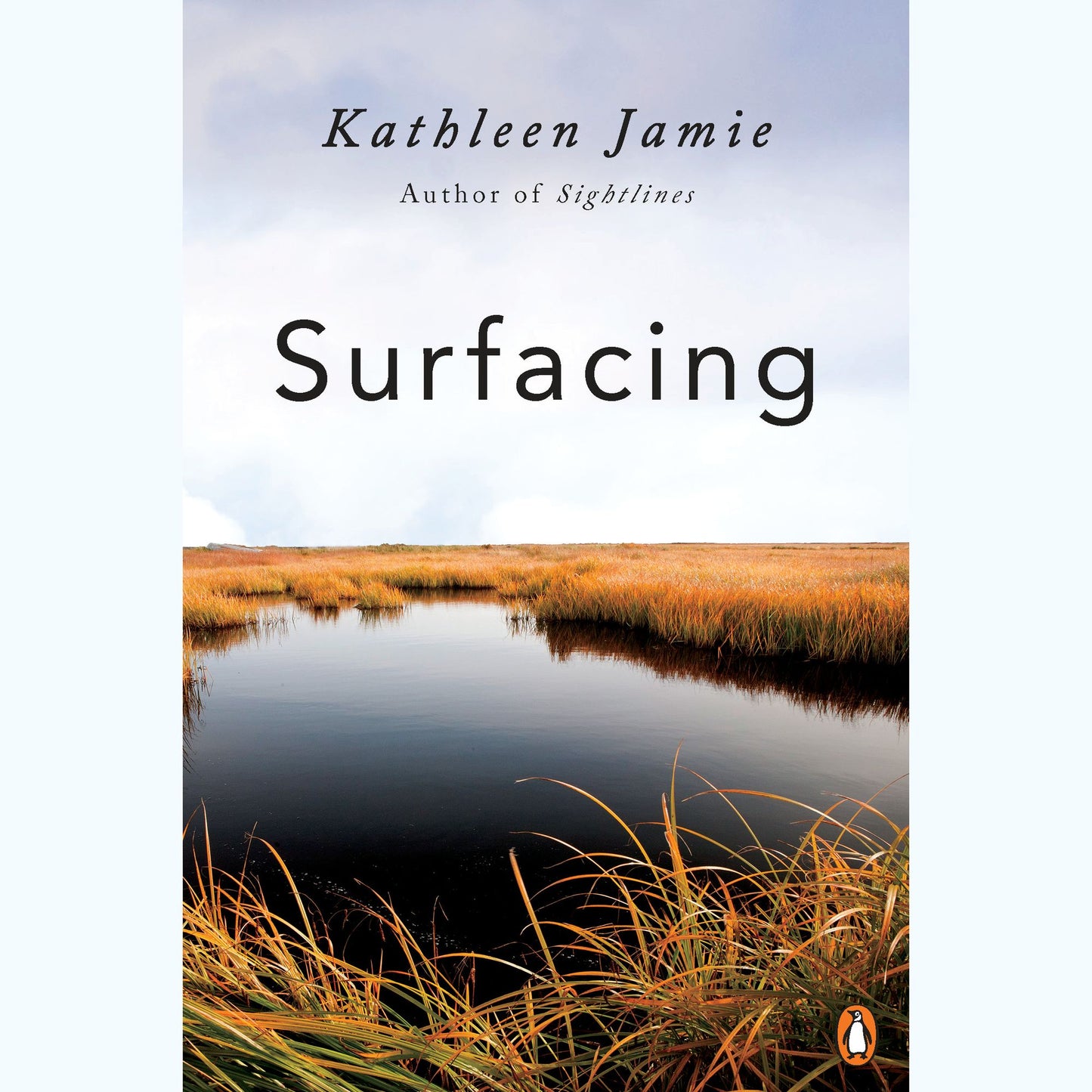 Surfacing