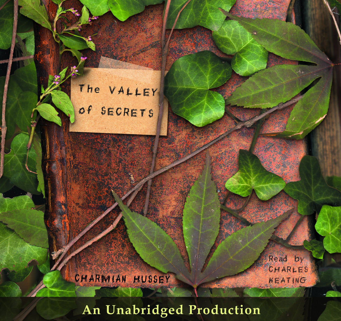The Valley of Secrets