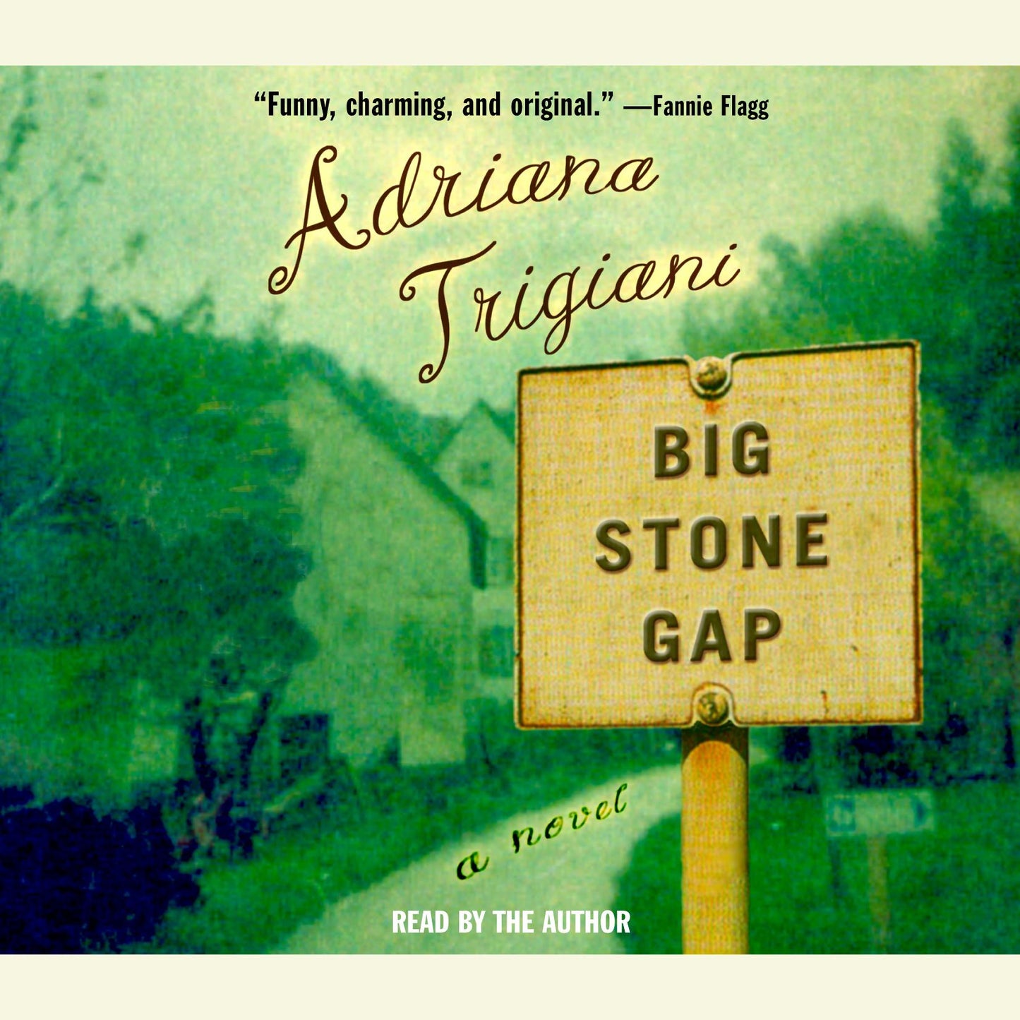 Big Stone Gap: A Novel (Abridged)