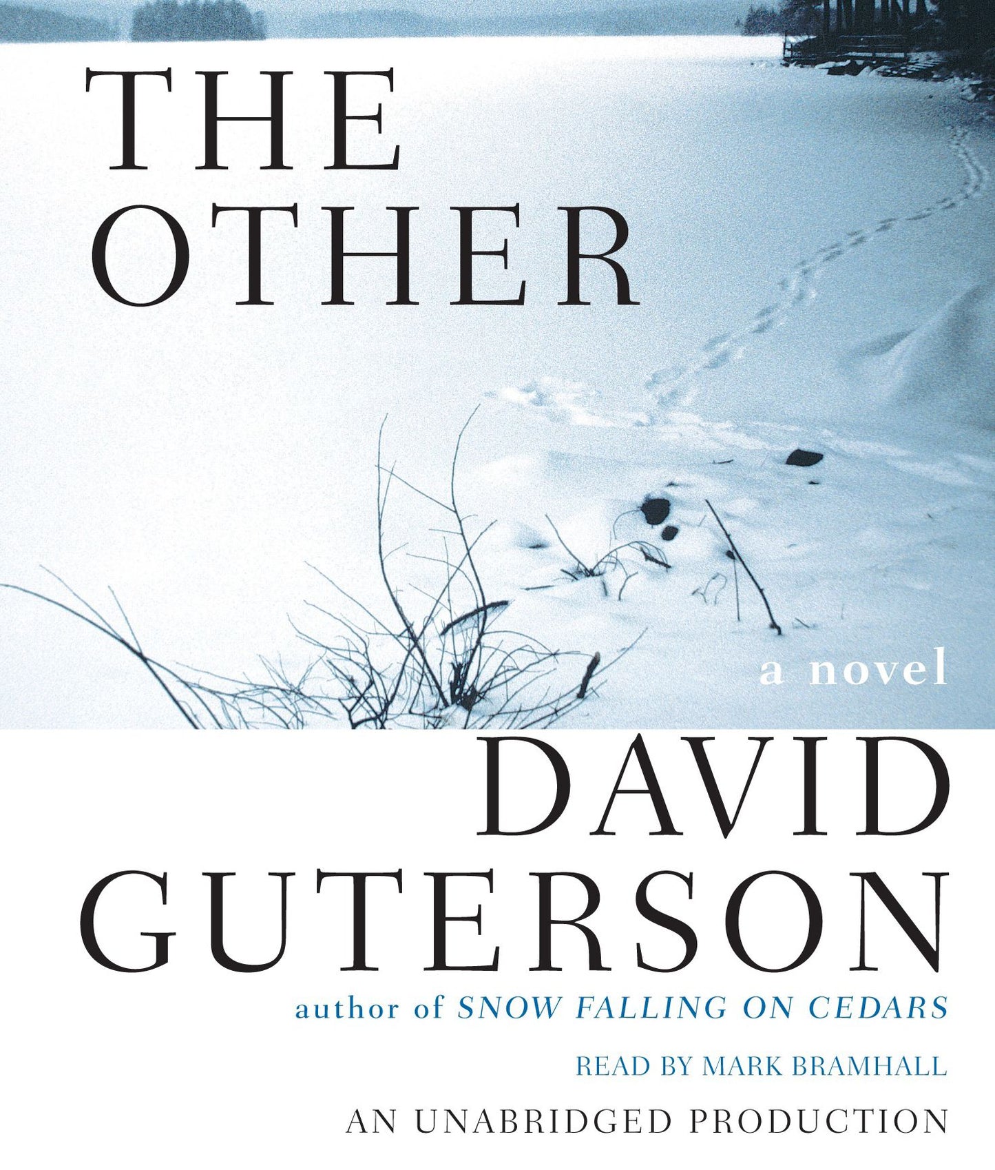 The Other: A Novel
